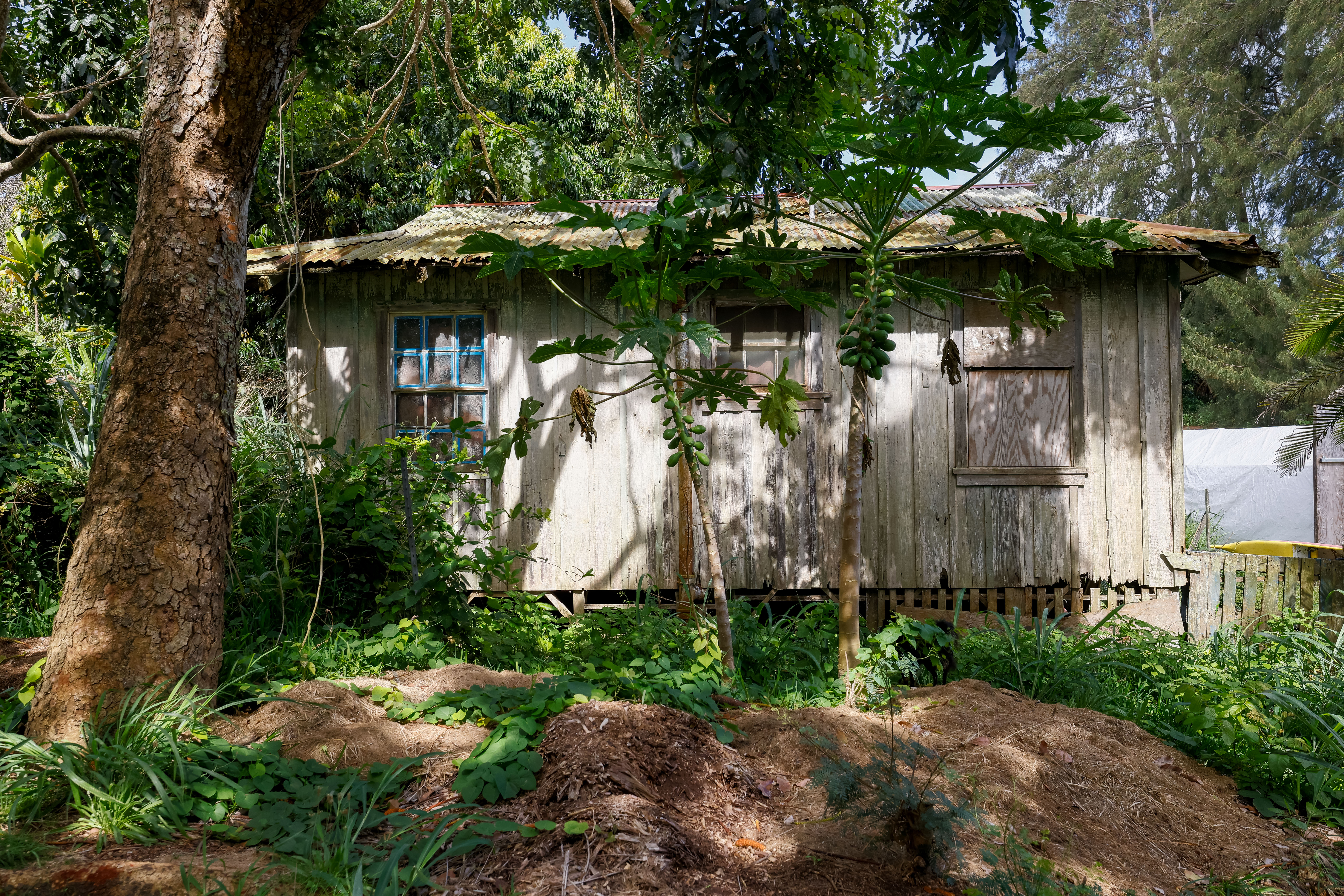 55-546 Hualua Rd Property Photo 5