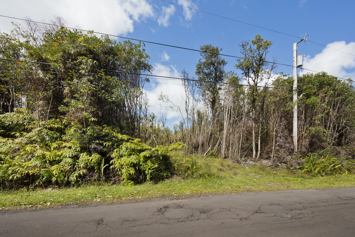 Pikake St Property Photo 2