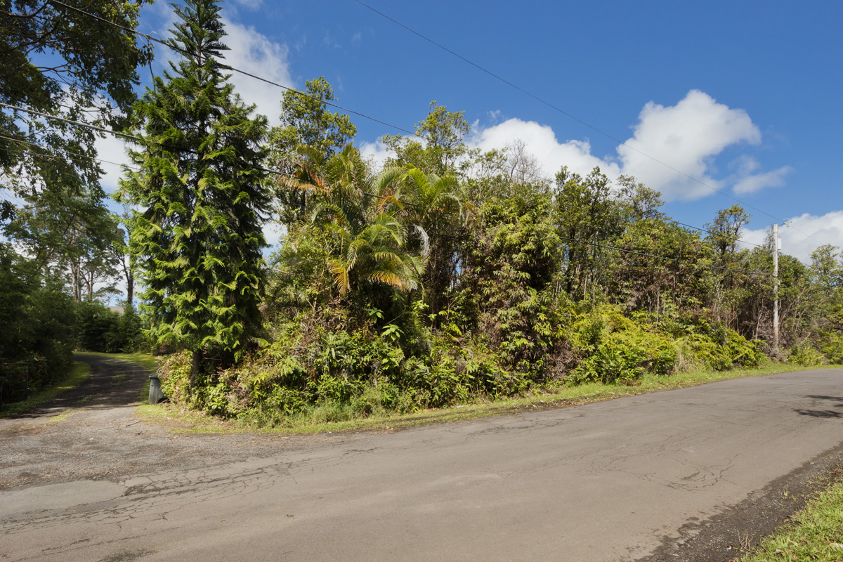 Pikake St Property Photo 4