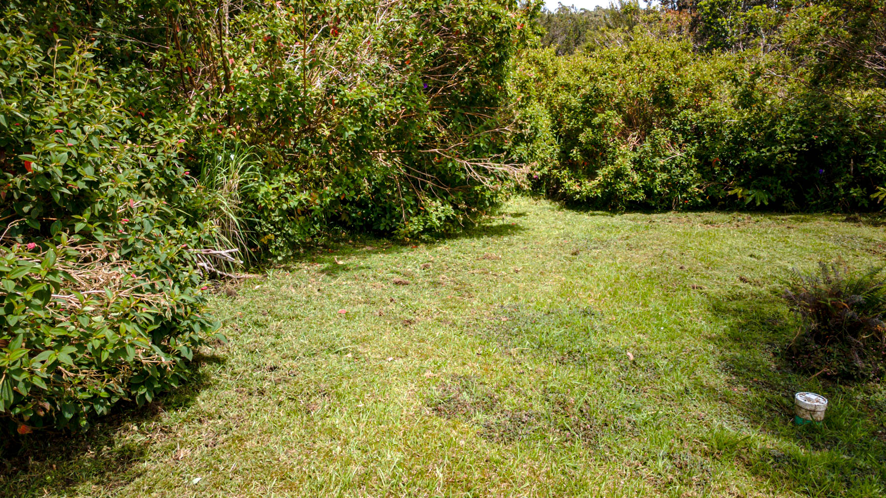 19-3150 Mamaki Ln Property Photo 13
