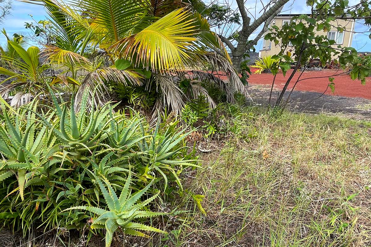 1 Piilani Rd Property Photo 26