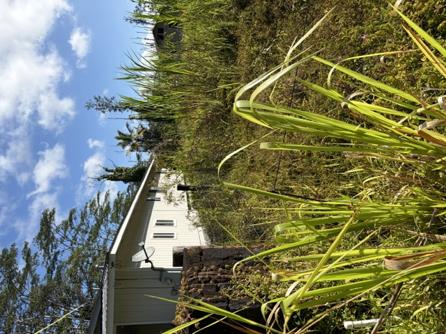 Church Rd Property Photo 3