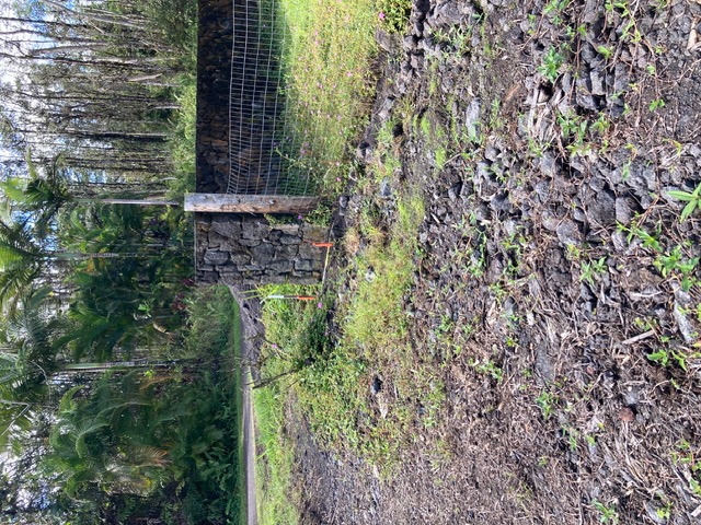 Church Rd Property Photo 11