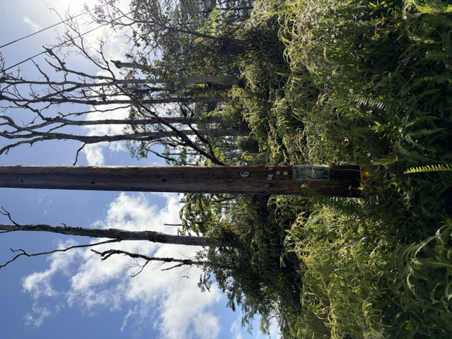 Church Rd Property Photo 16