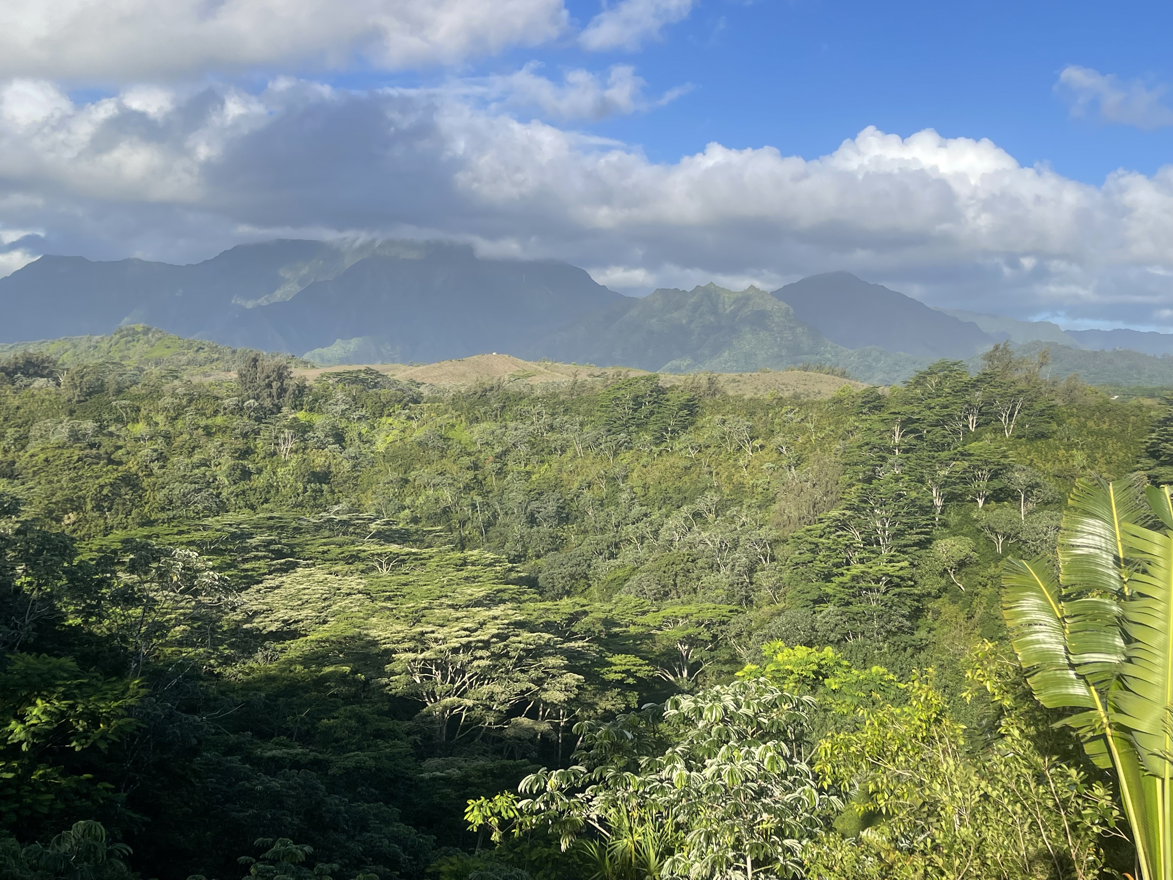 5250-d Kahiliholo Rd Property Photo 1