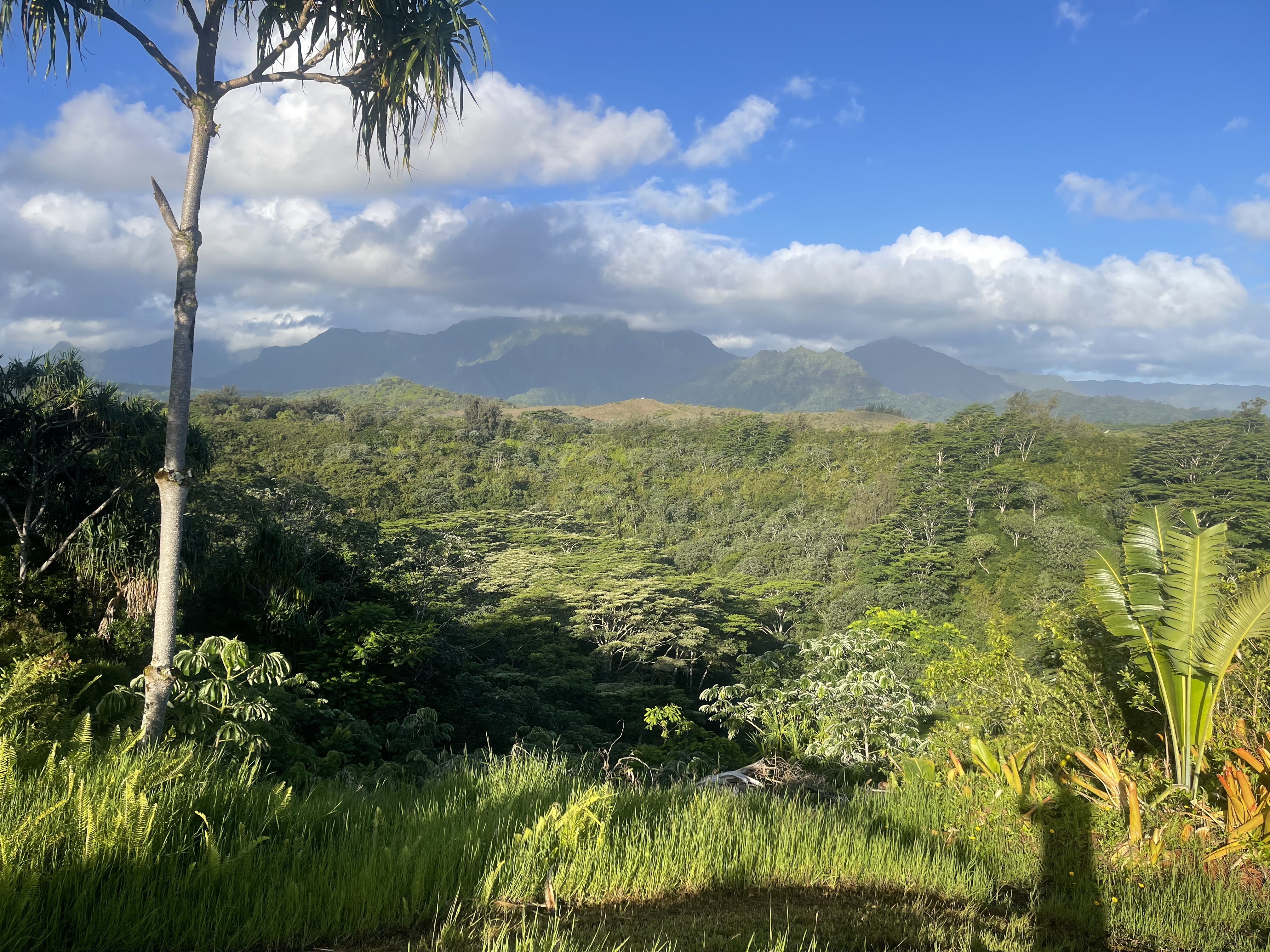 5250-d Kahiliholo Rd Property Photo 12