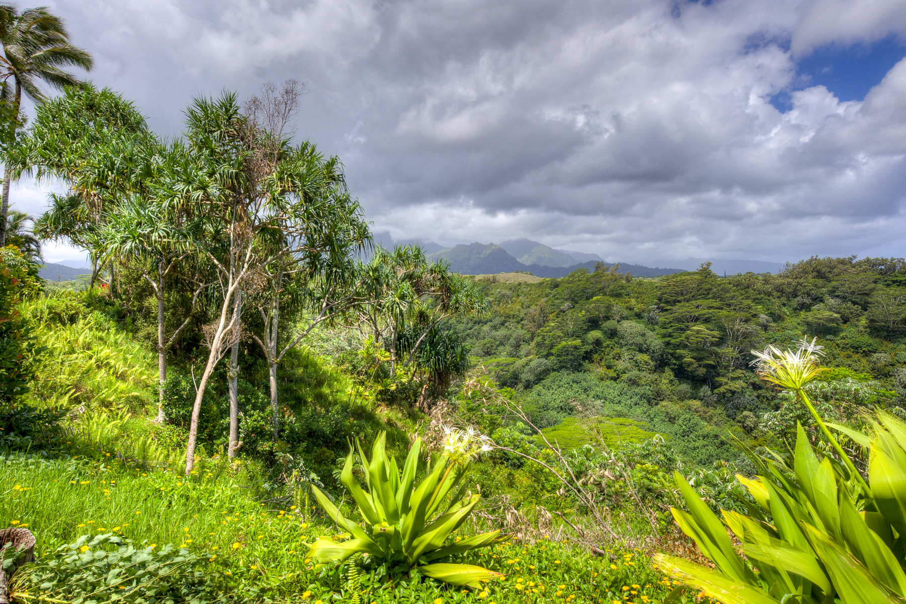 5250-d Kahiliholo Rd Property Photo 27