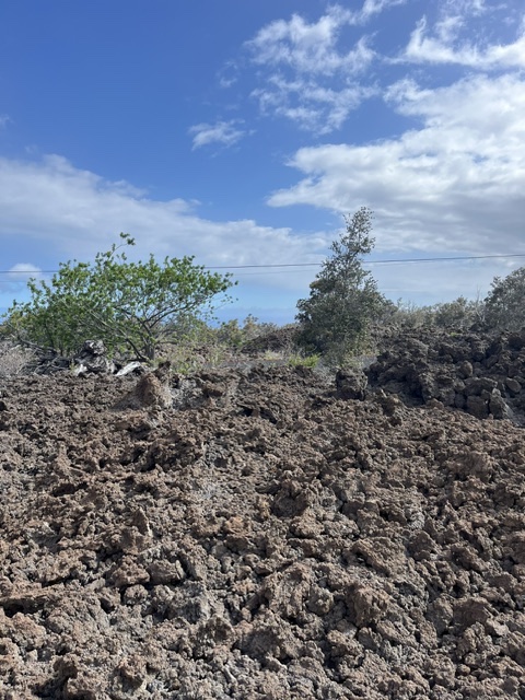 Macadamia Dr Property Photo 1