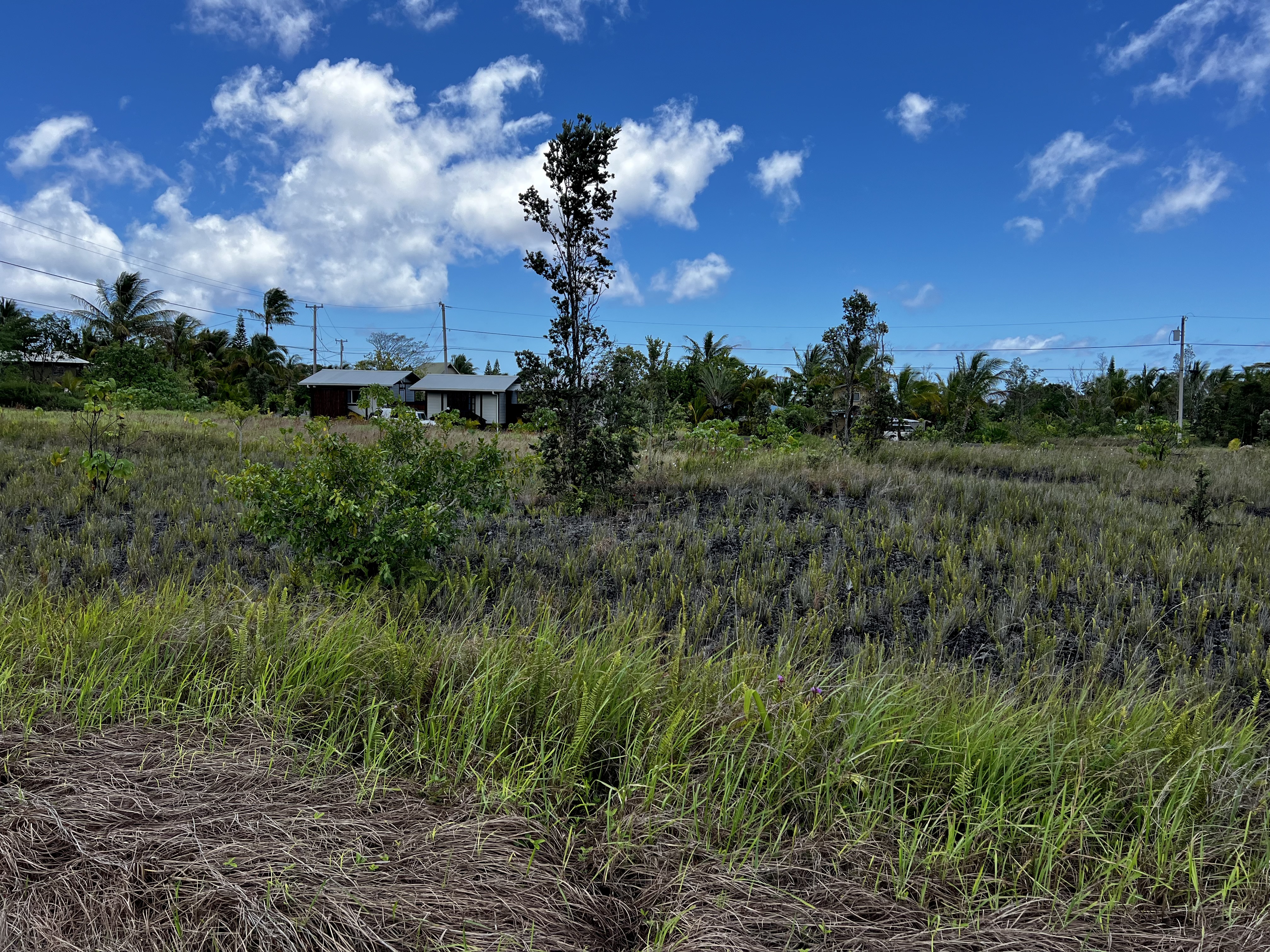 Nahokulele St Property Photo 3