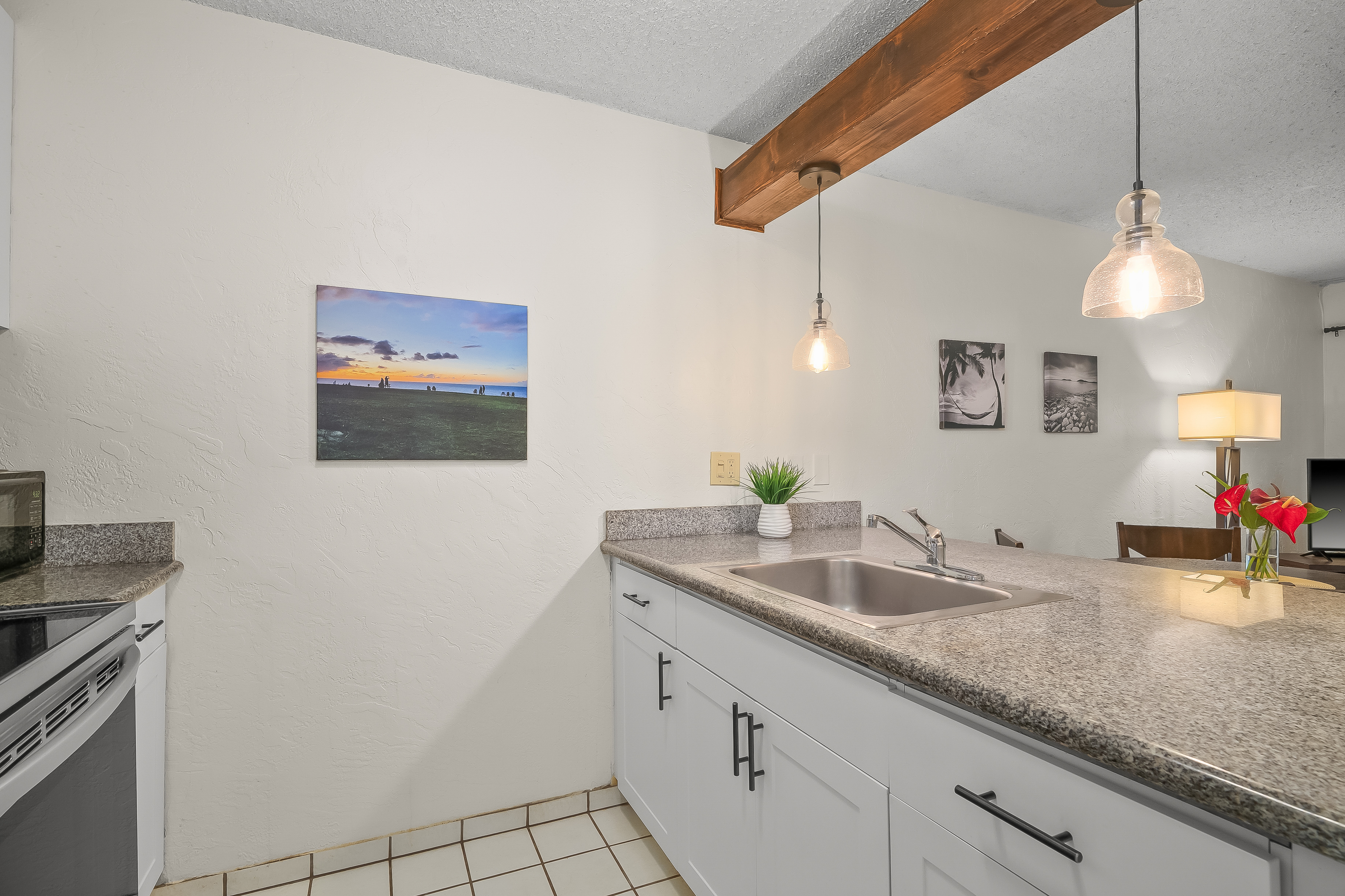 525 Aleka Lp A3 Property Photo 6