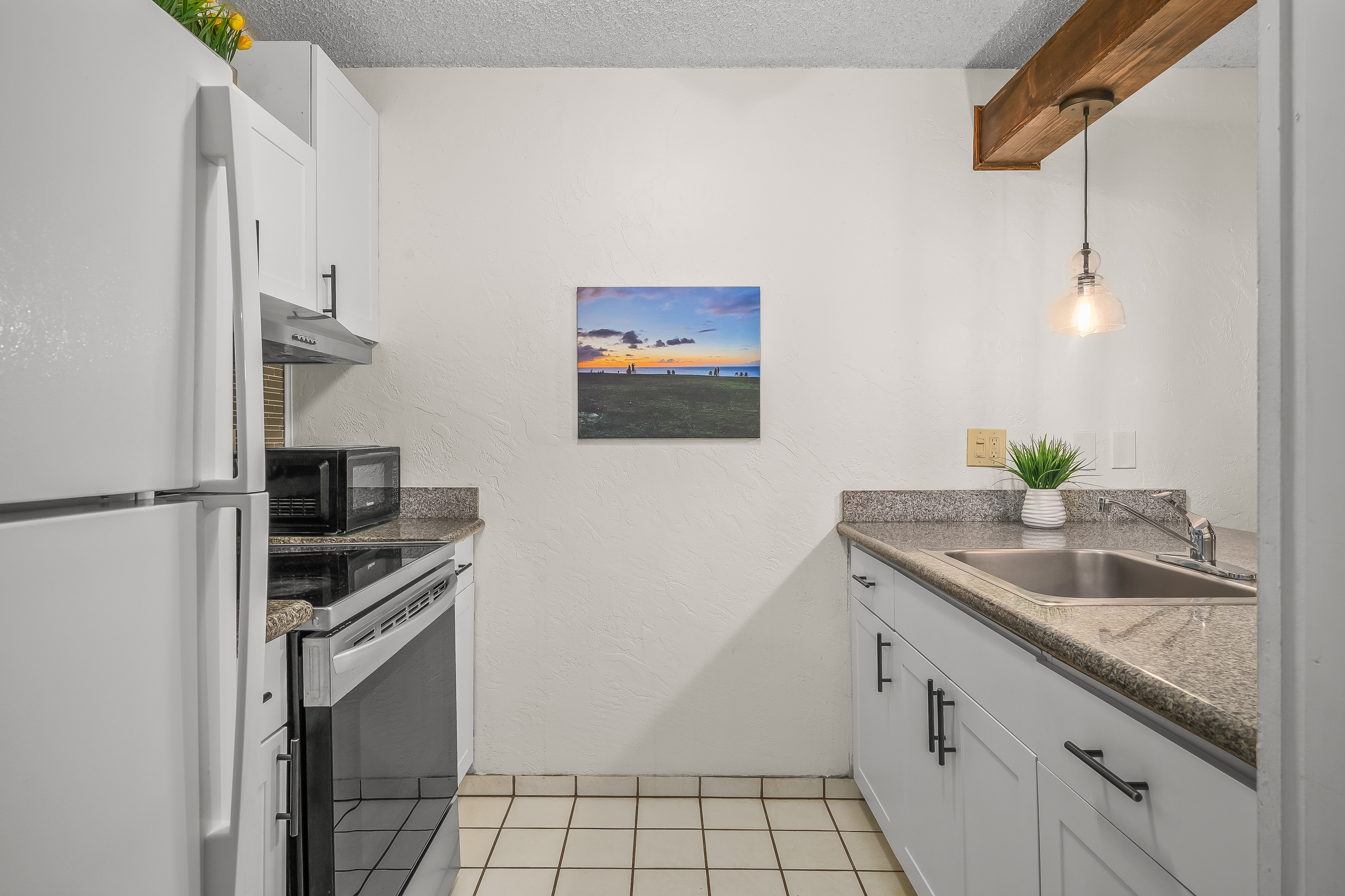 525 Aleka Lp A3 Property Photo 7