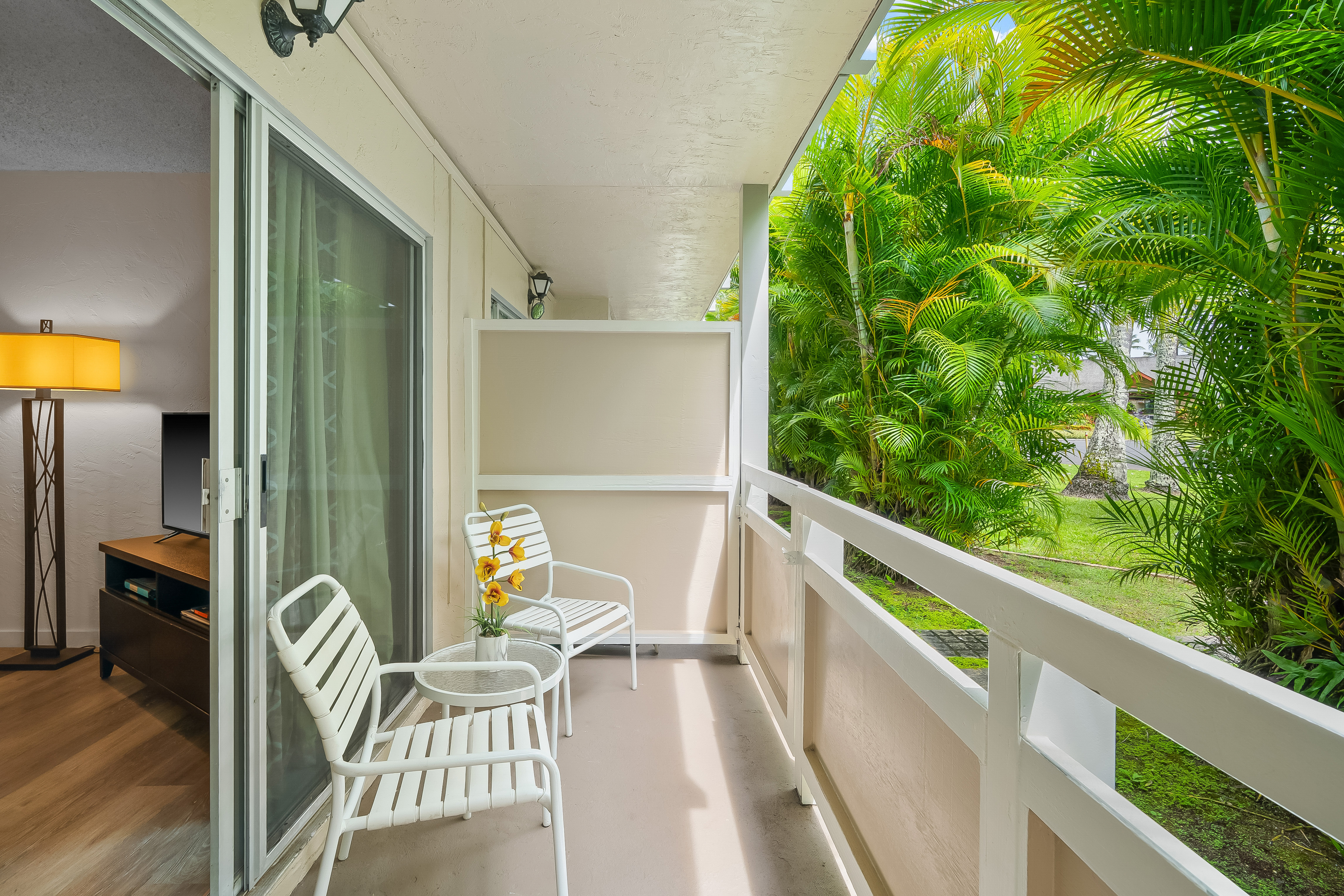 525 Aleka Lp A3 Property Photo 13