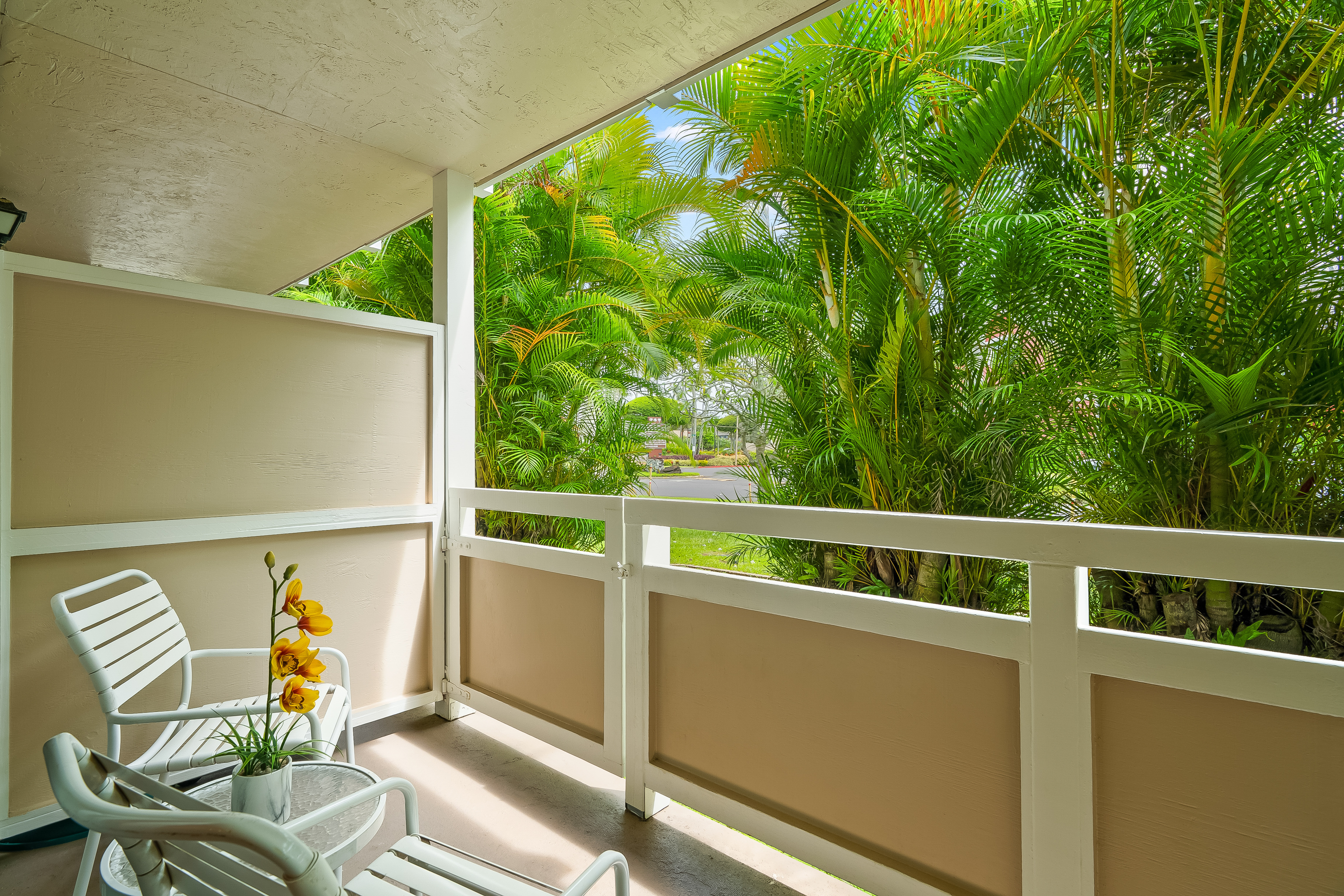 525 Aleka Lp A3 Property Photo 15