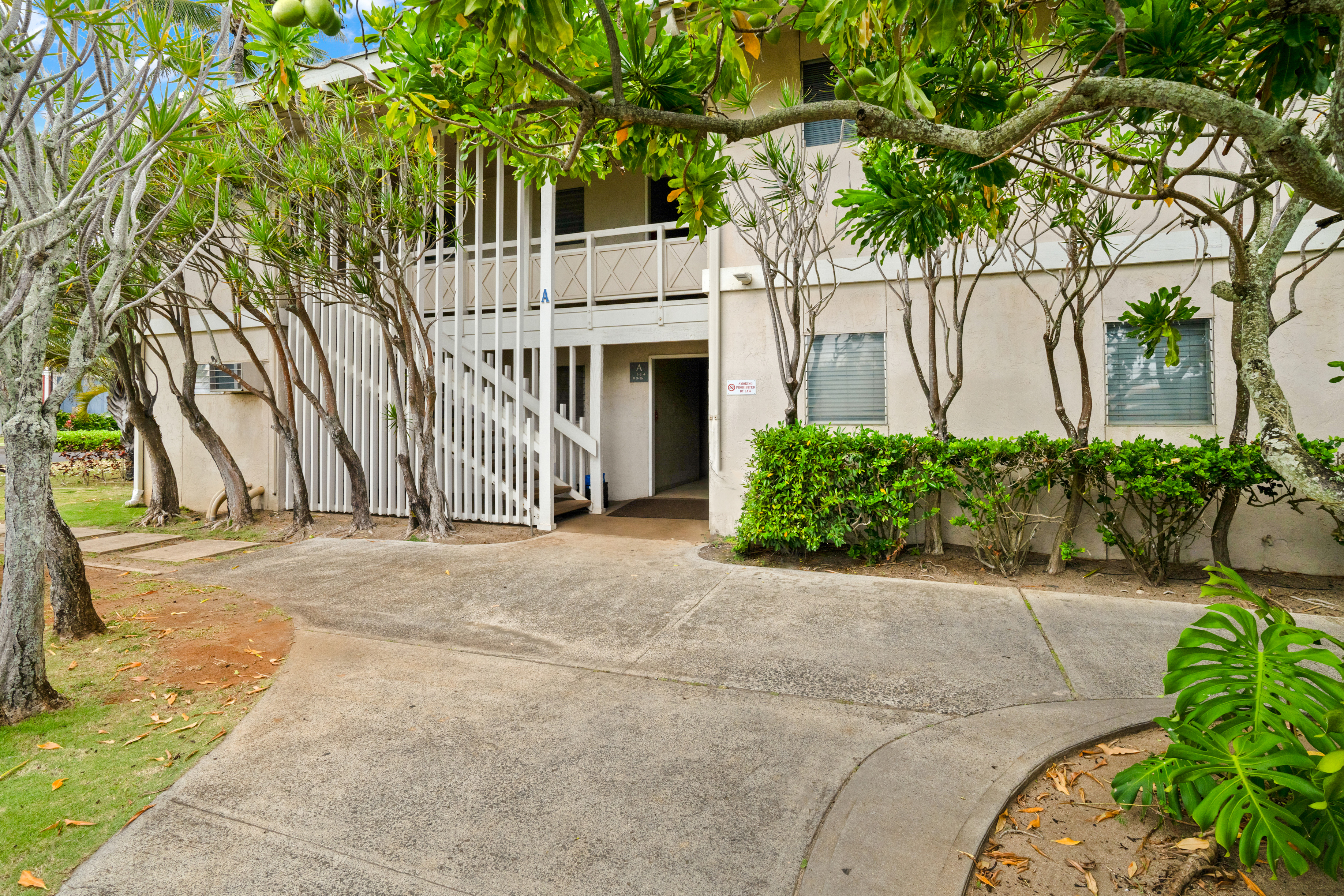 525 Aleka Lp A3 Property Photo 19