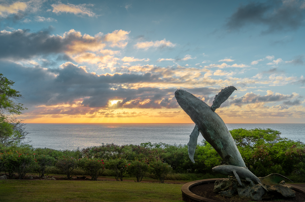 56-2881 Haleakala View Pl Property Photo 7