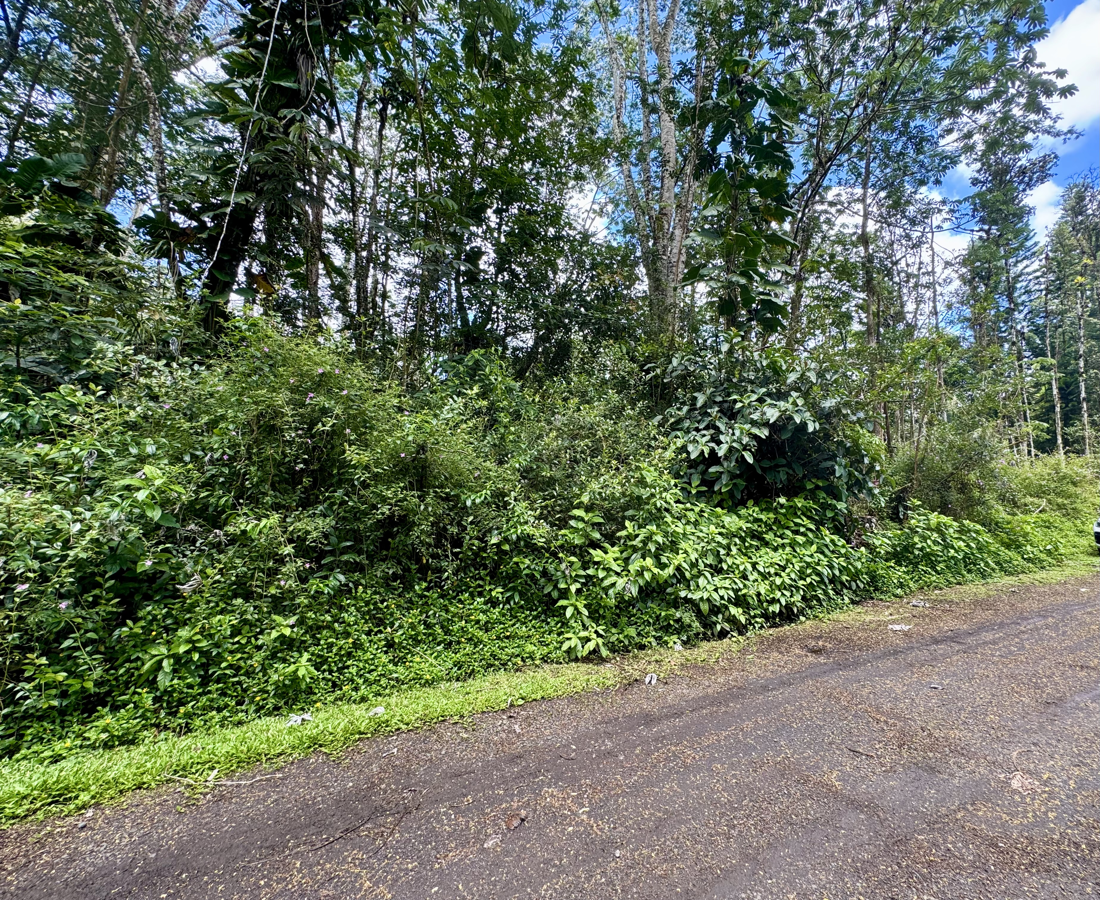 PLUMERIA RD Property Photo 1