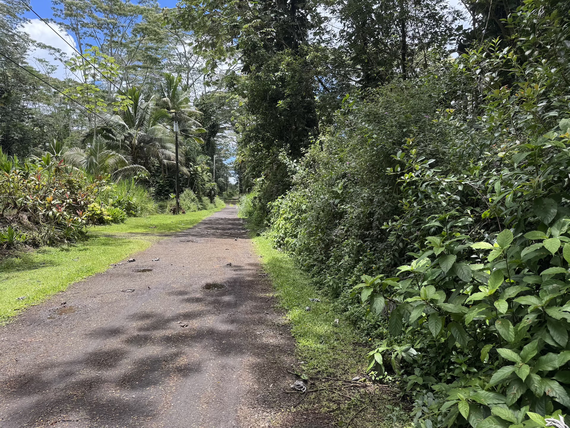 Plumeria Rd Property Photo 4