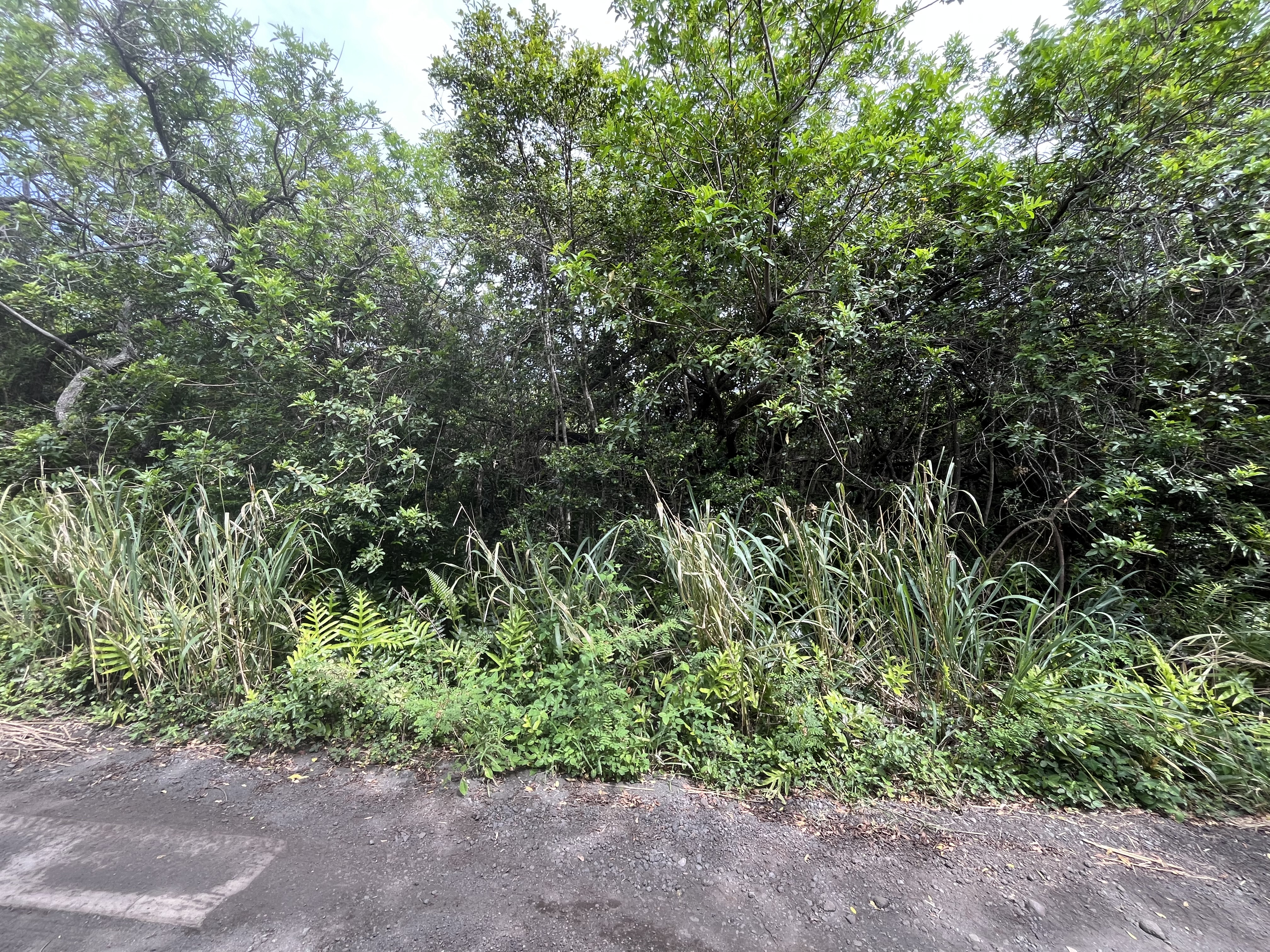 Kekuhaupio Rd Property Photo 1