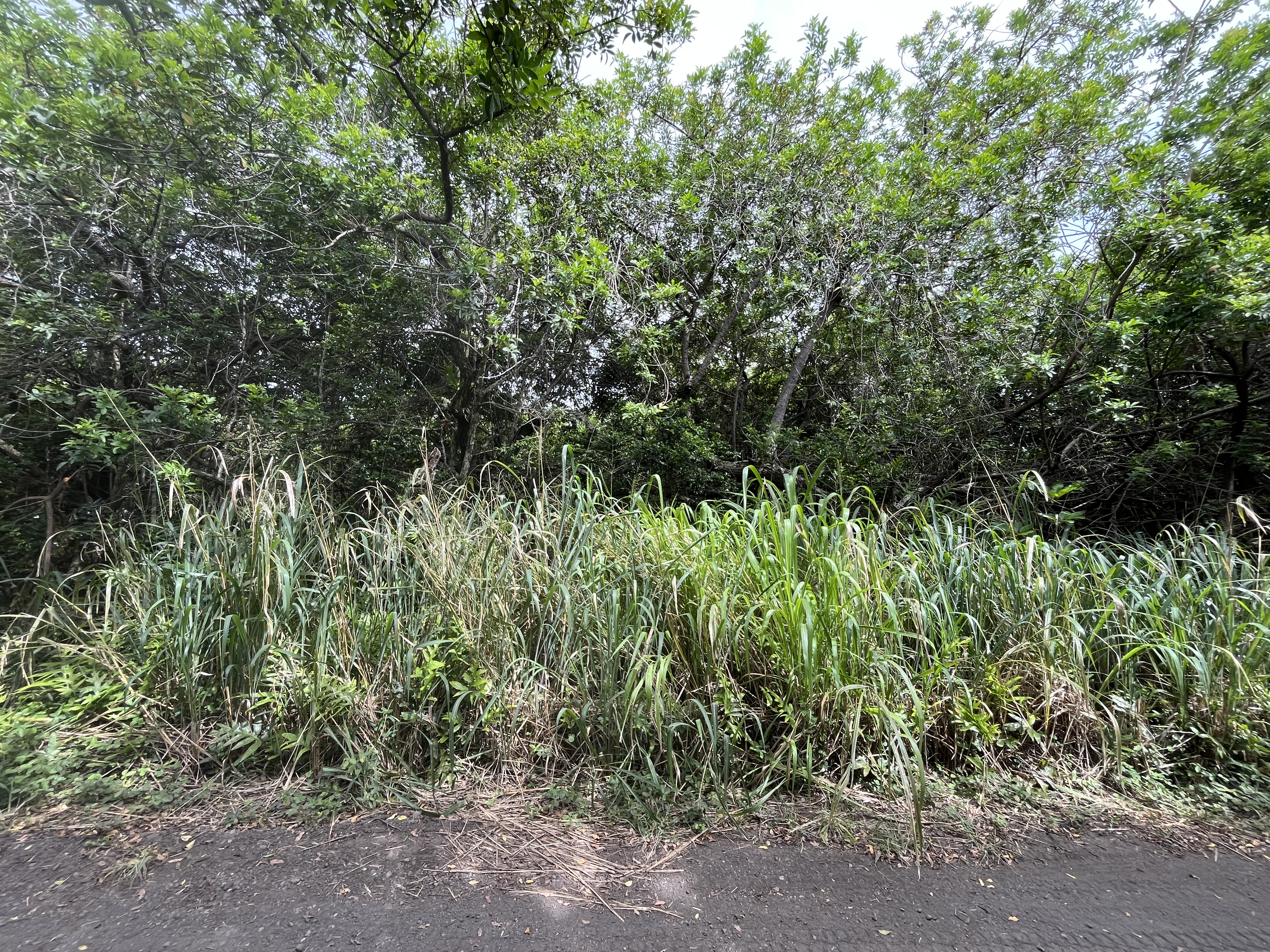Kekuhaupio Rd Property Photo 3