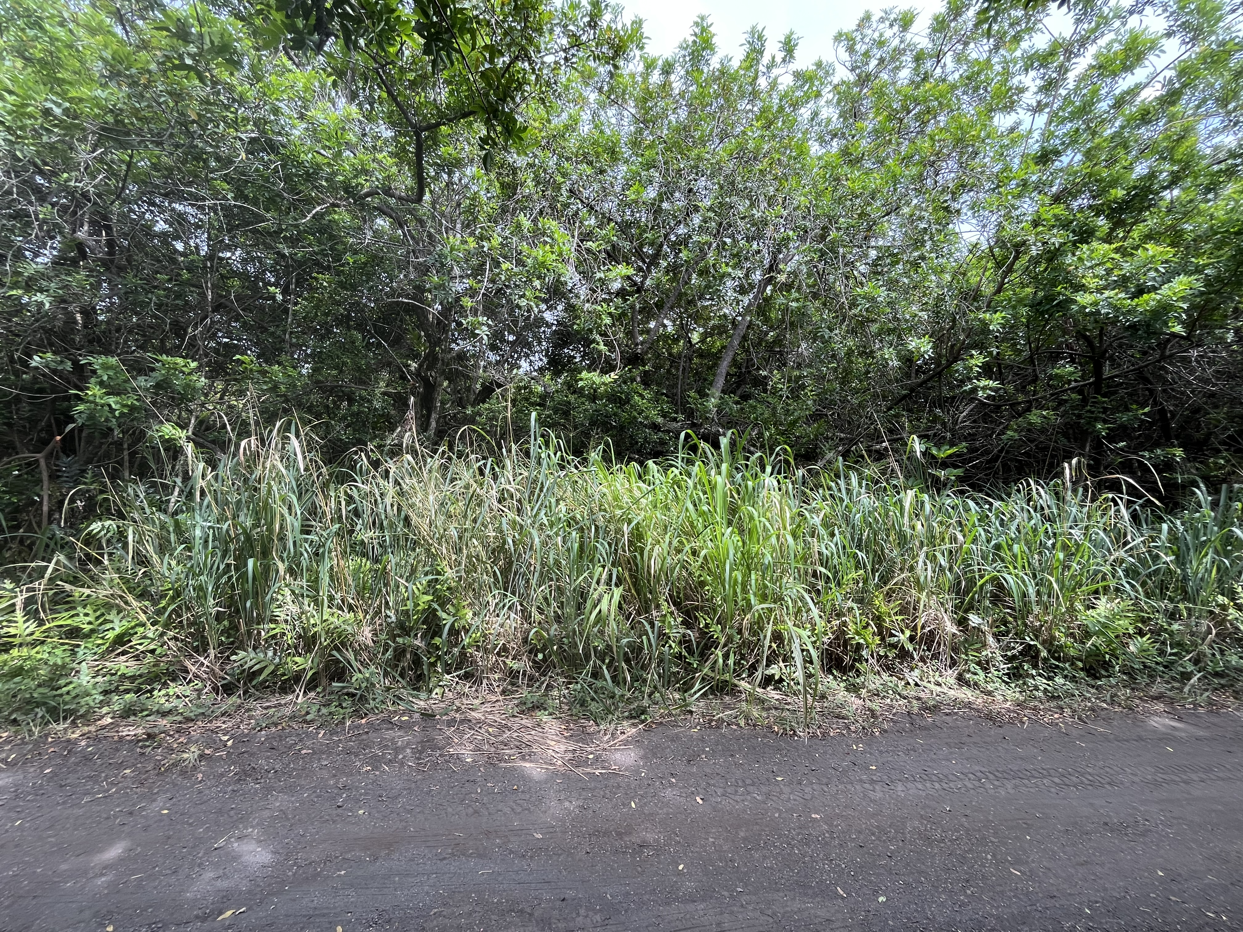 Kekuhaupio Rd Property Photo 4