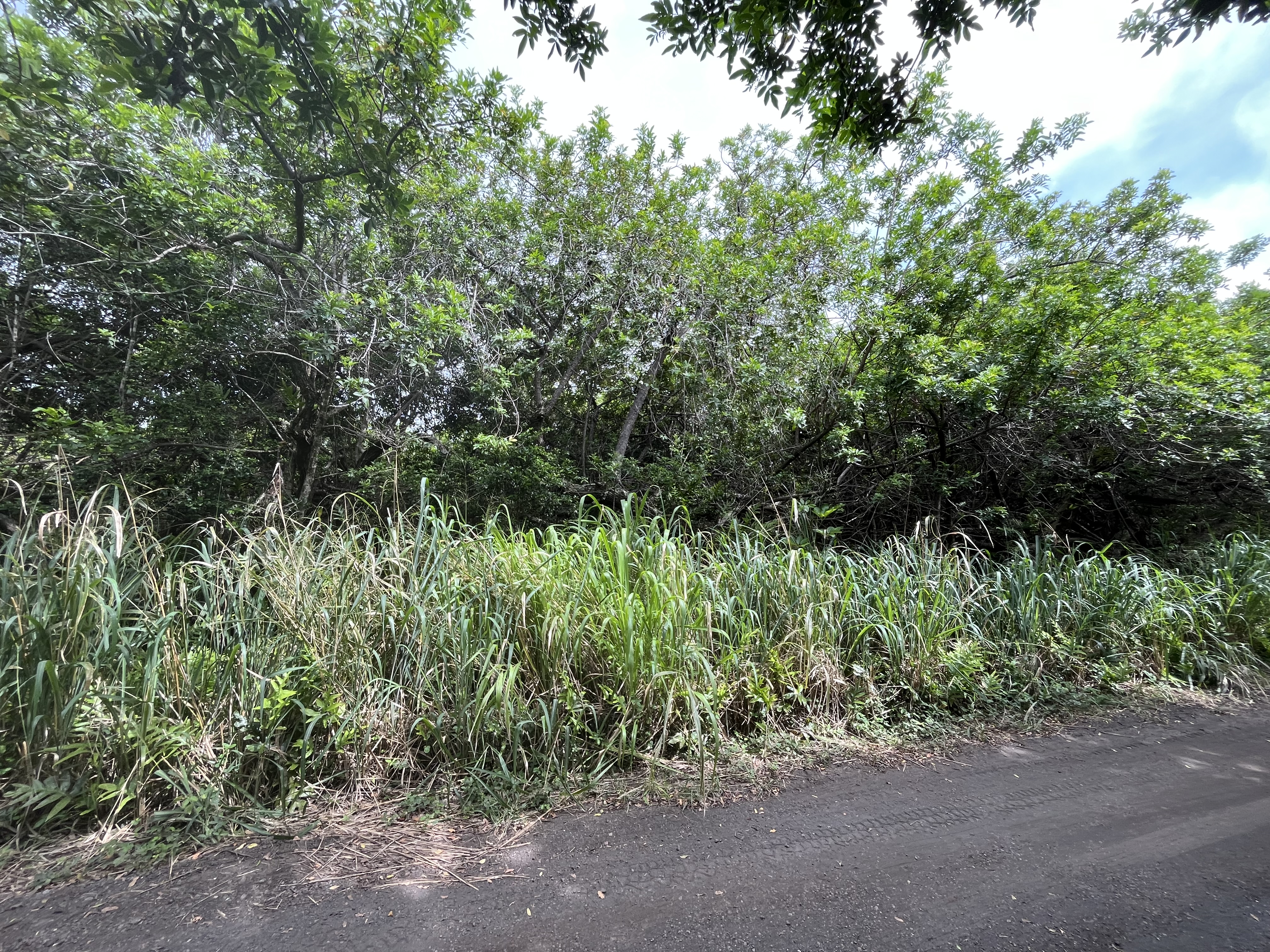 Kekuhaupio Rd Property Photo 5