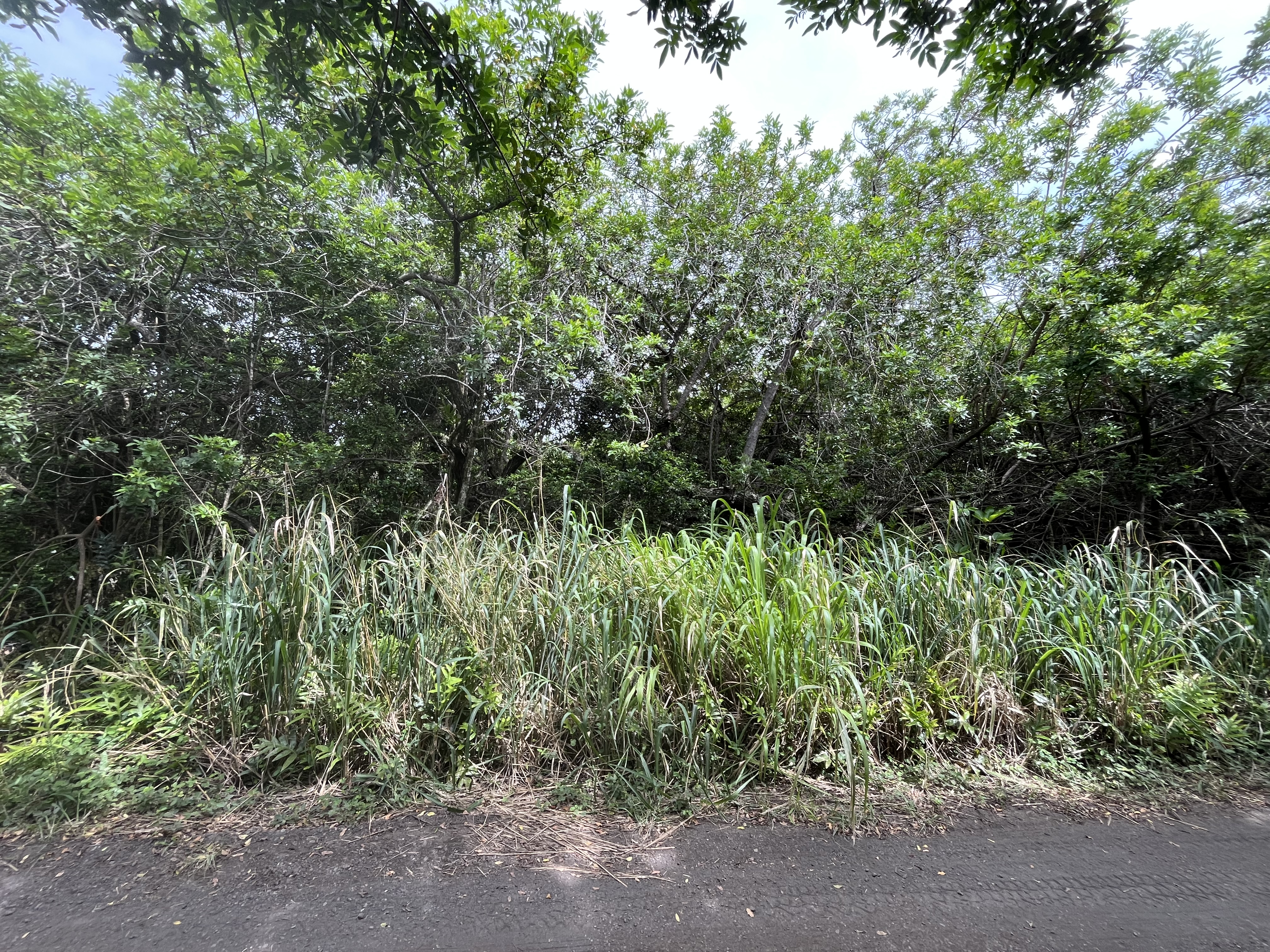 Kekuhaupio Rd Property Photo 6