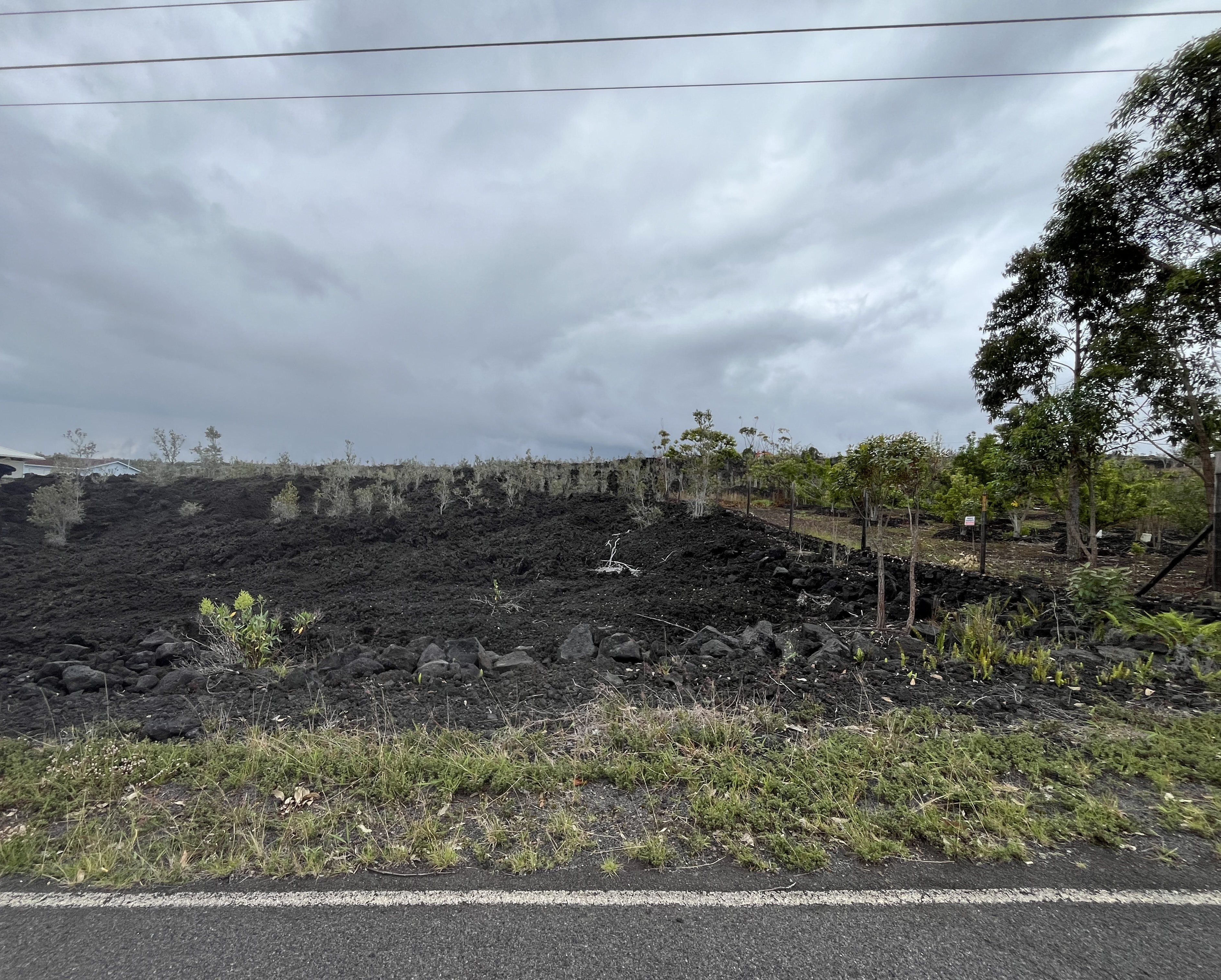 Aloha Blvd Property Photo 2