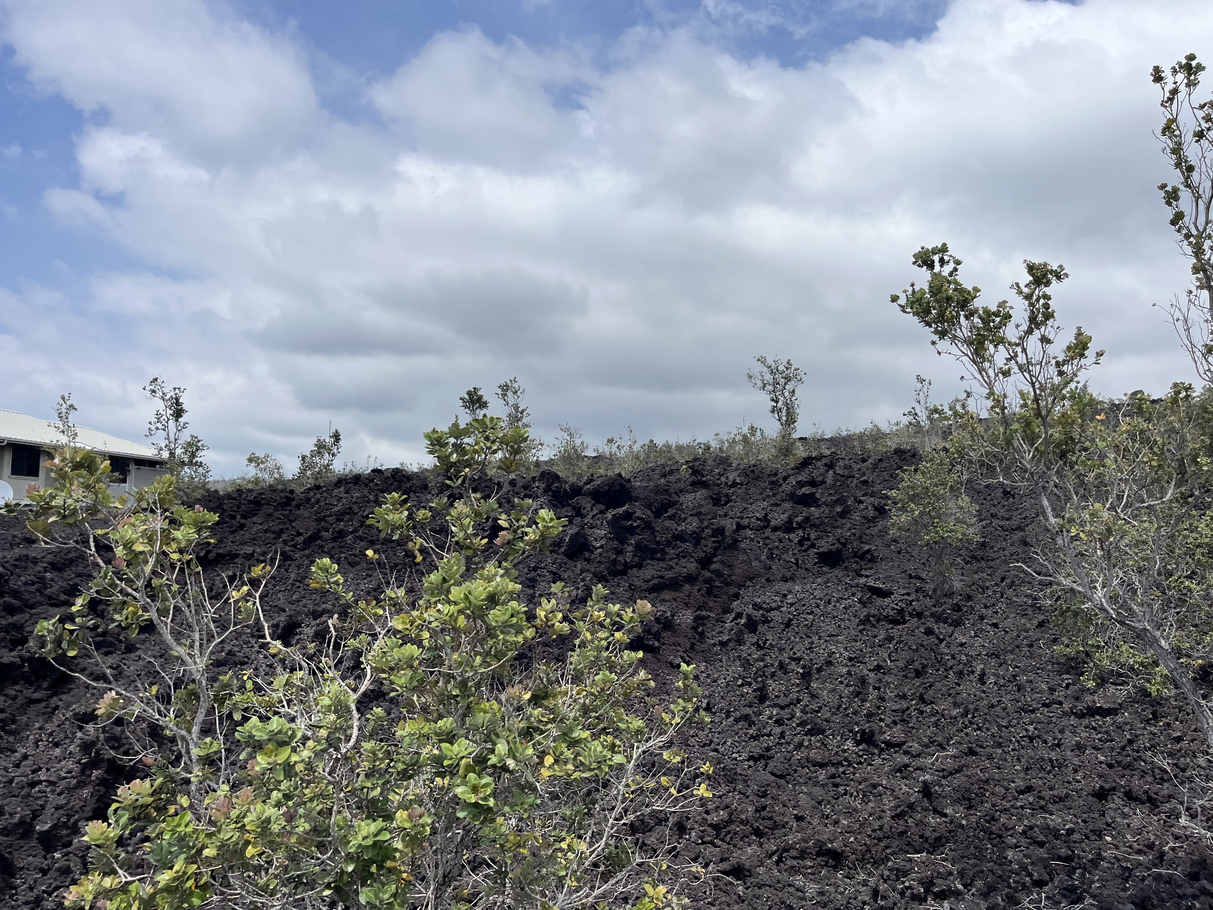 Aloha Blvd Property Photo 2