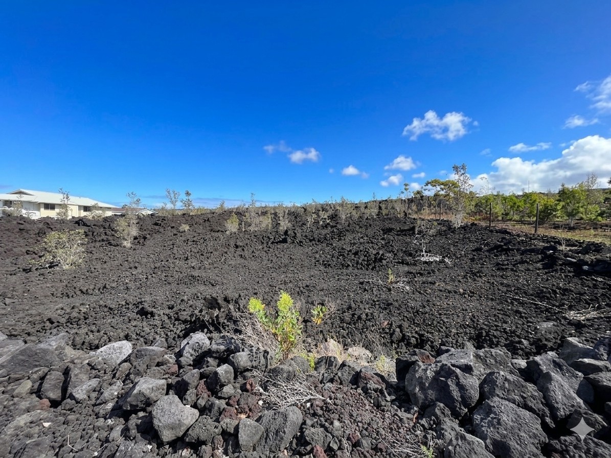 Aloha Blvd Property Photo 3