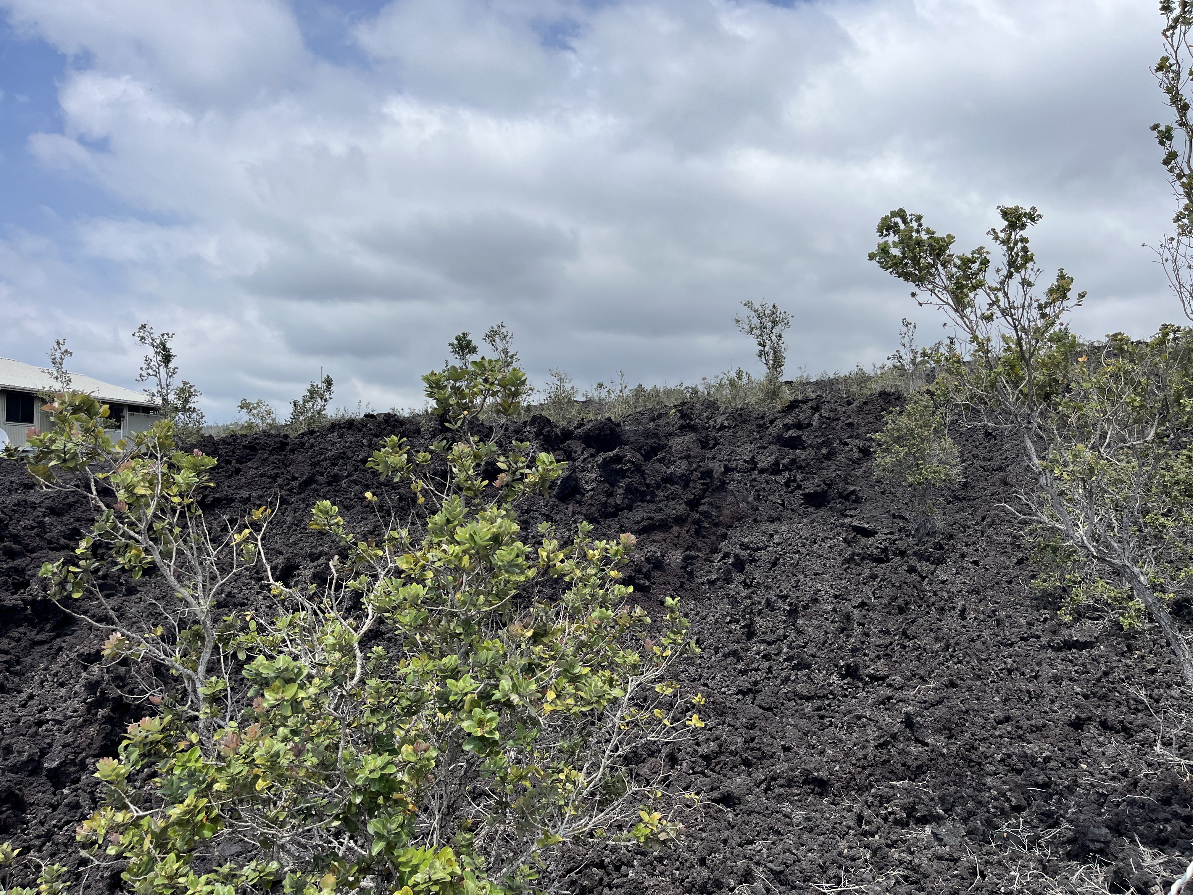 Aloha Blvd Property Photo 4