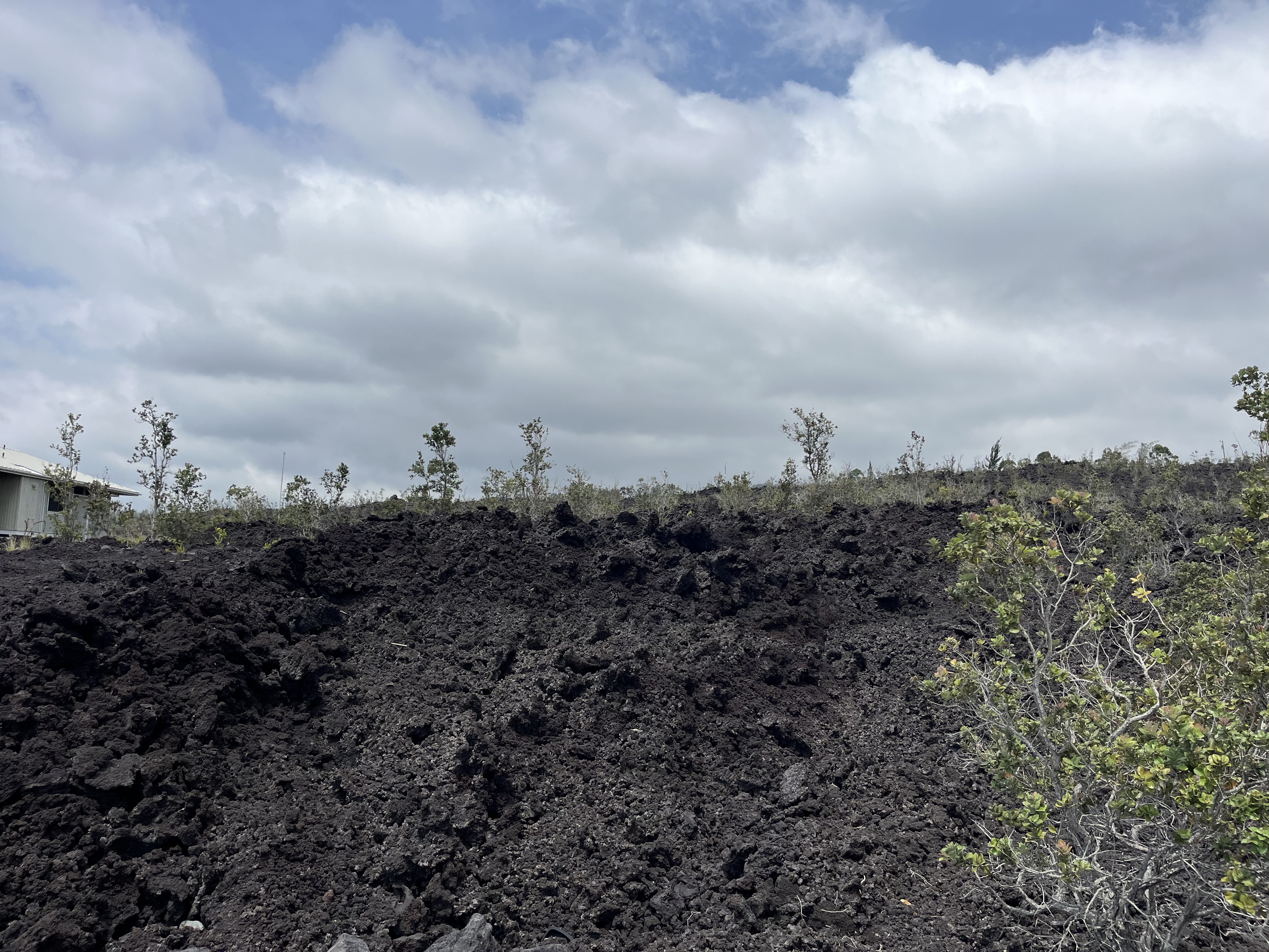 Aloha Blvd Property Photo 5
