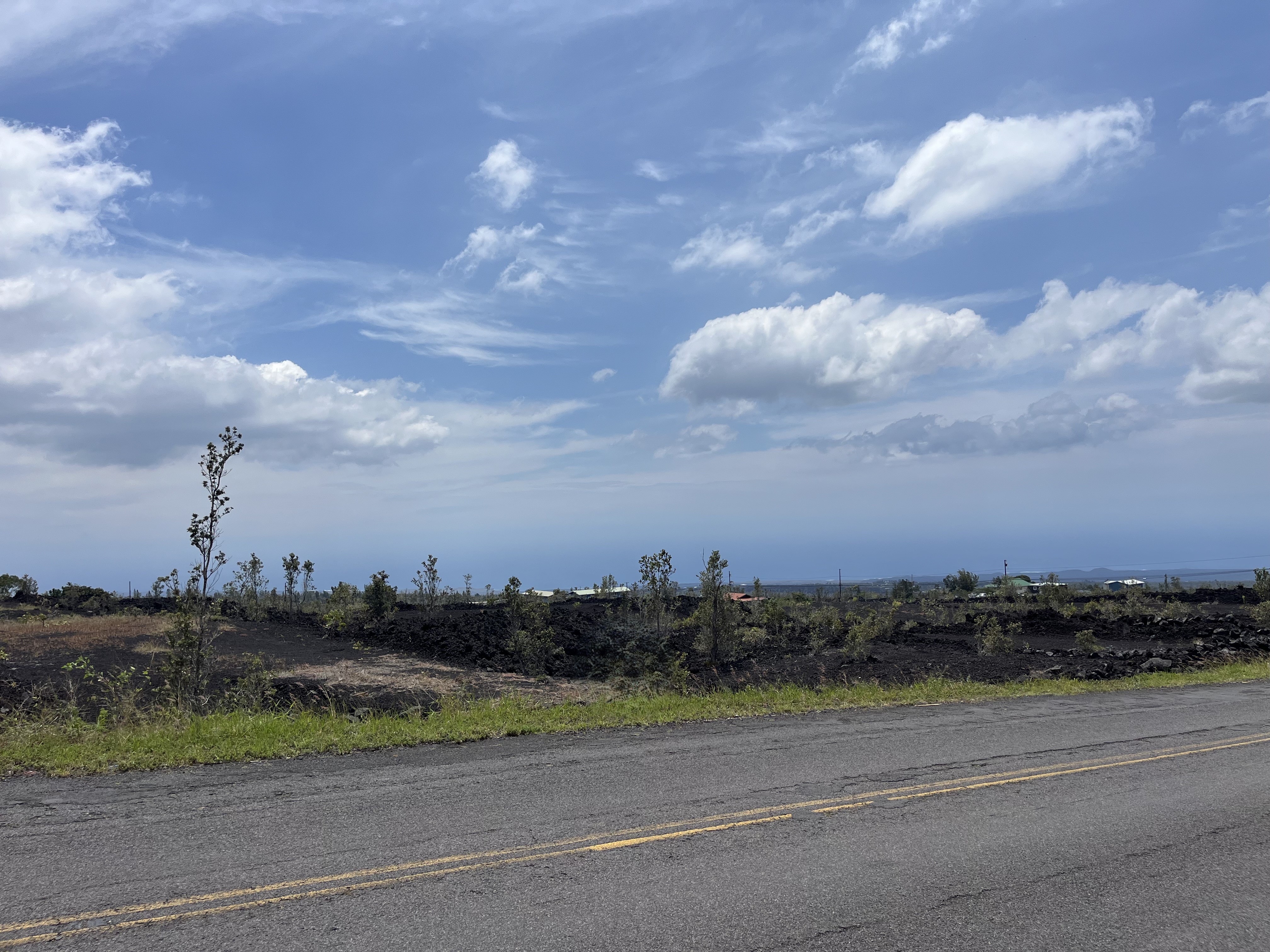 Aloha Blvd Property Photo 10