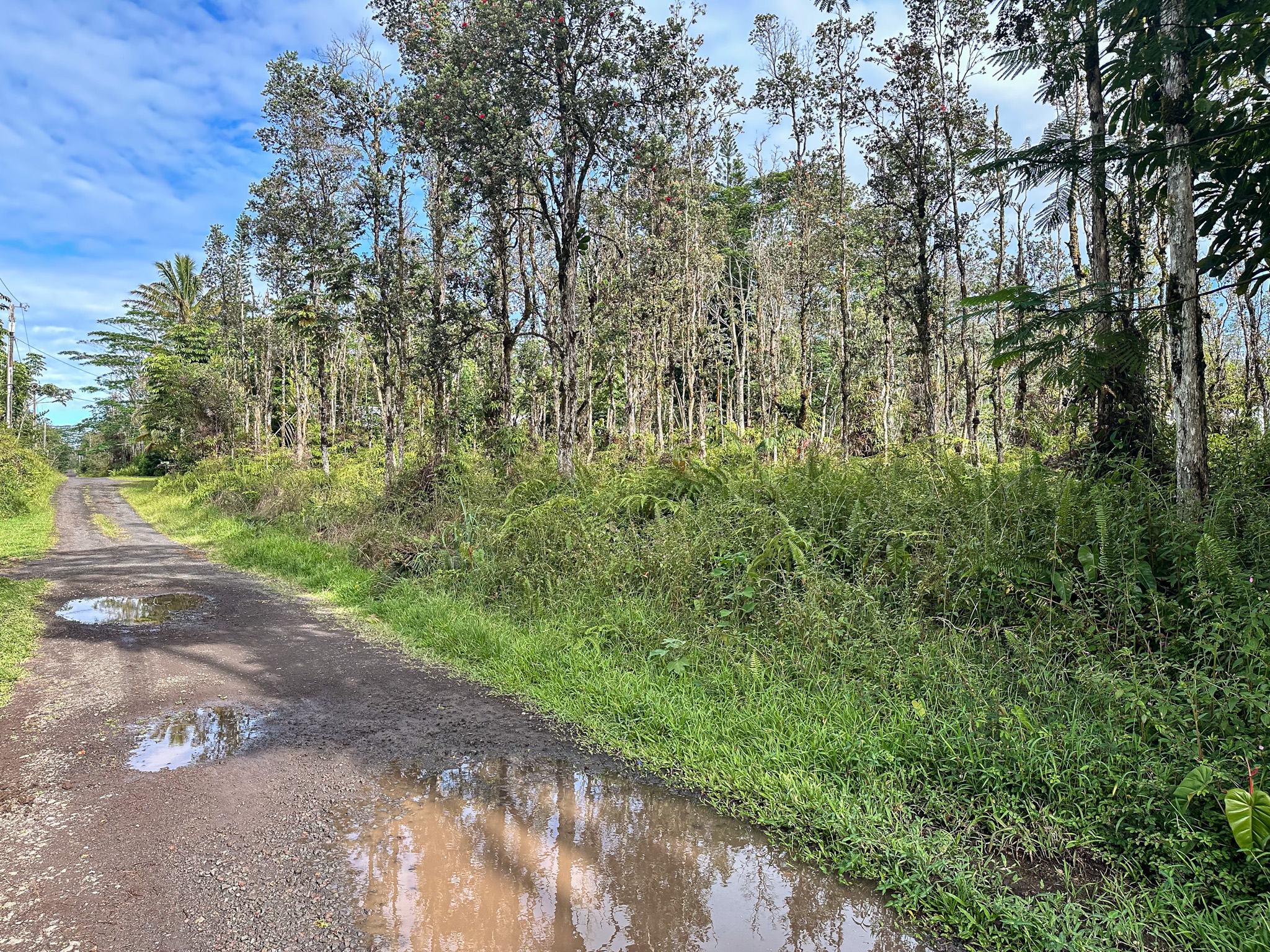 Seadrift Rd Property Photo 5