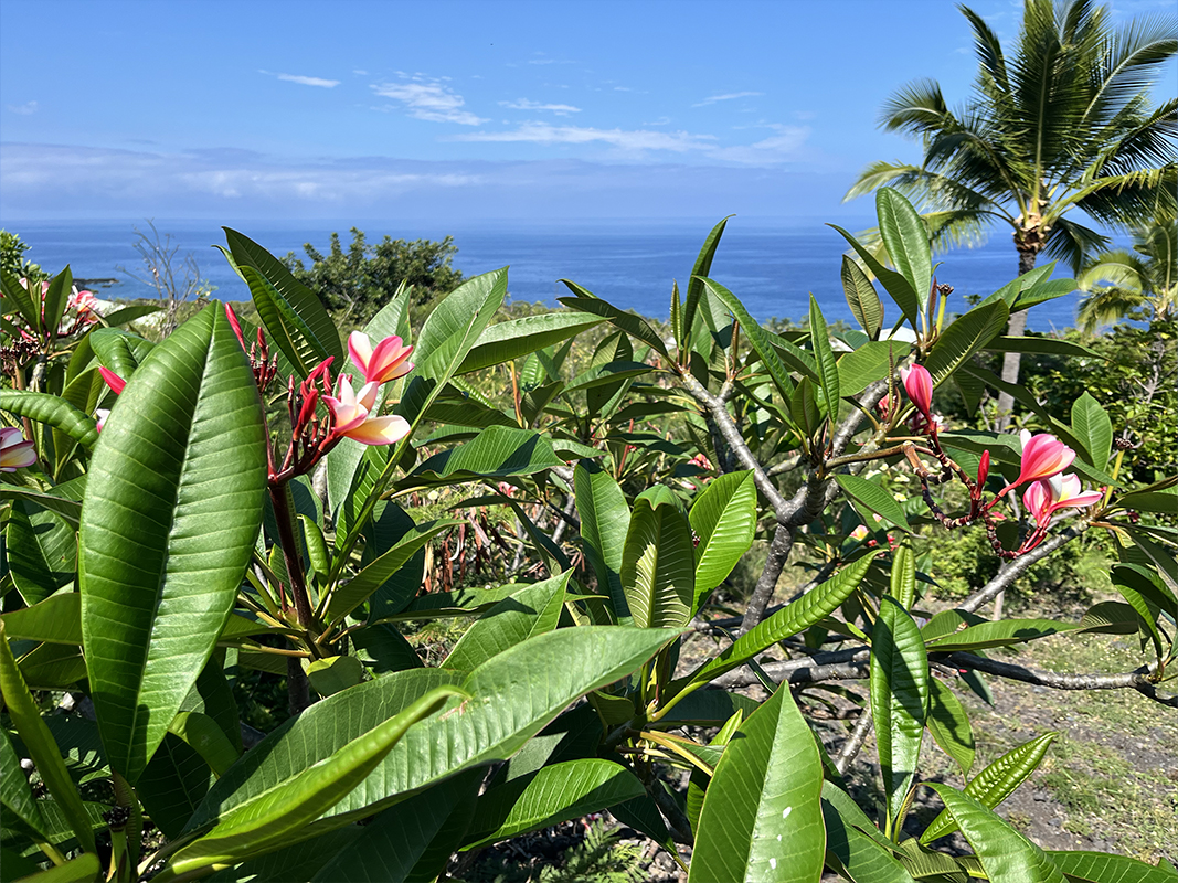 Kaohe Rd Property Photo 1