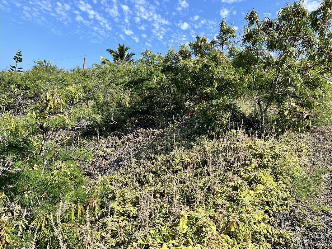 Kaohe Rd Property Photo 5