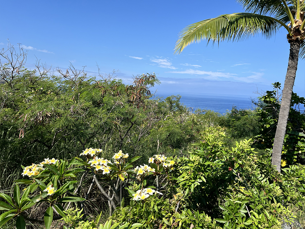 Kaohe Rd Property Photo 6