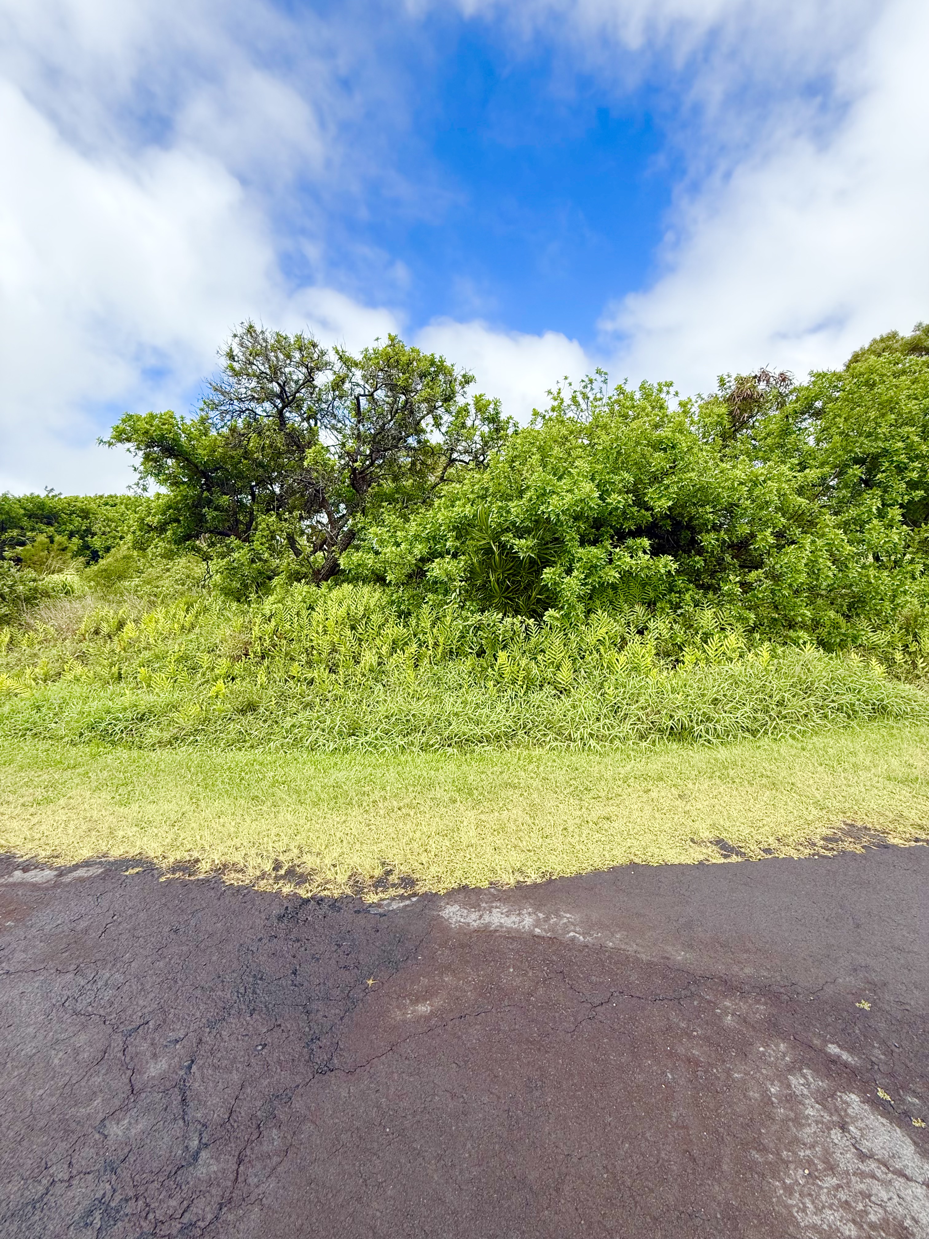 Kanaloa Pl Property Photo 2