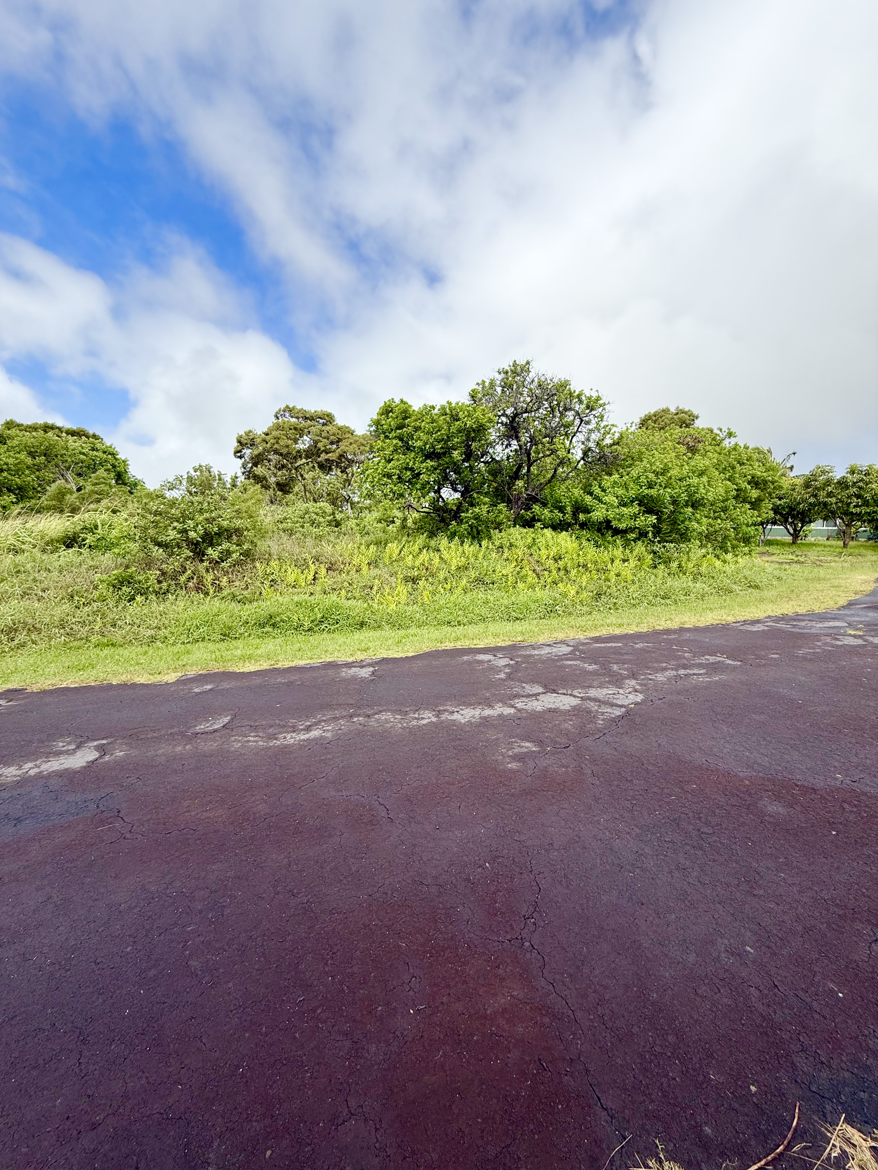 Kanaloa Pl Property Photo 3