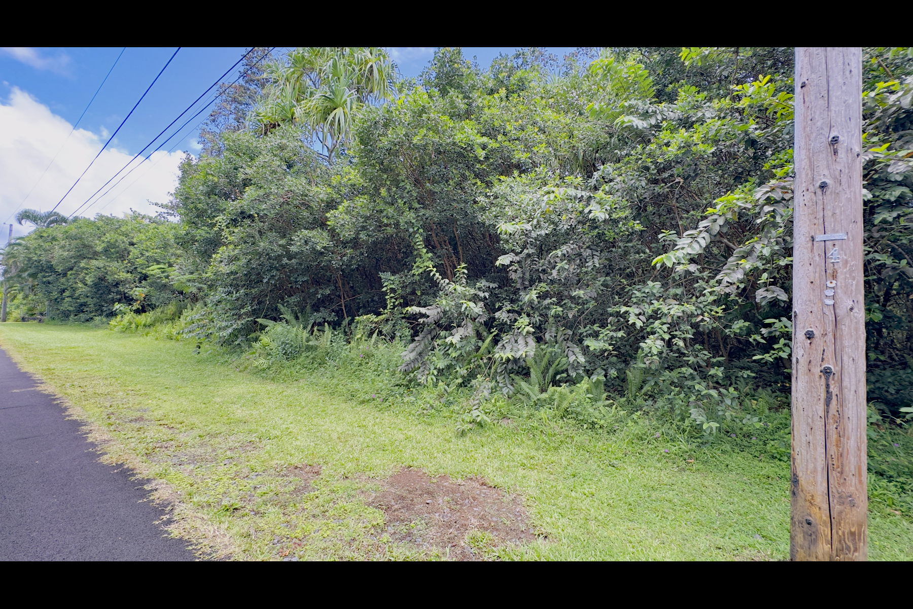 Moi St Property Photo 1
