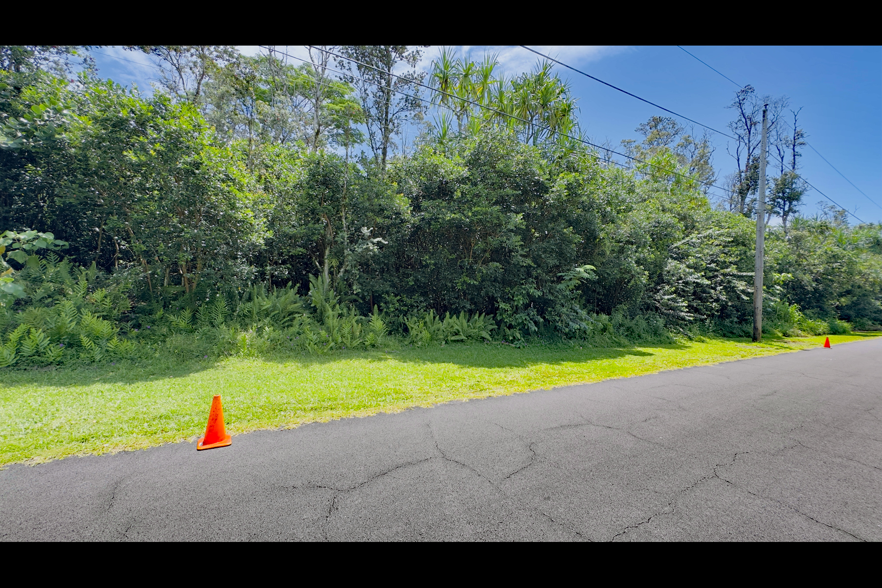 Moi St Property Photo 6