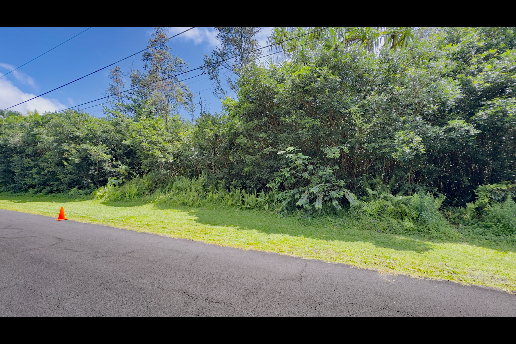 Moi St Property Photo 8
