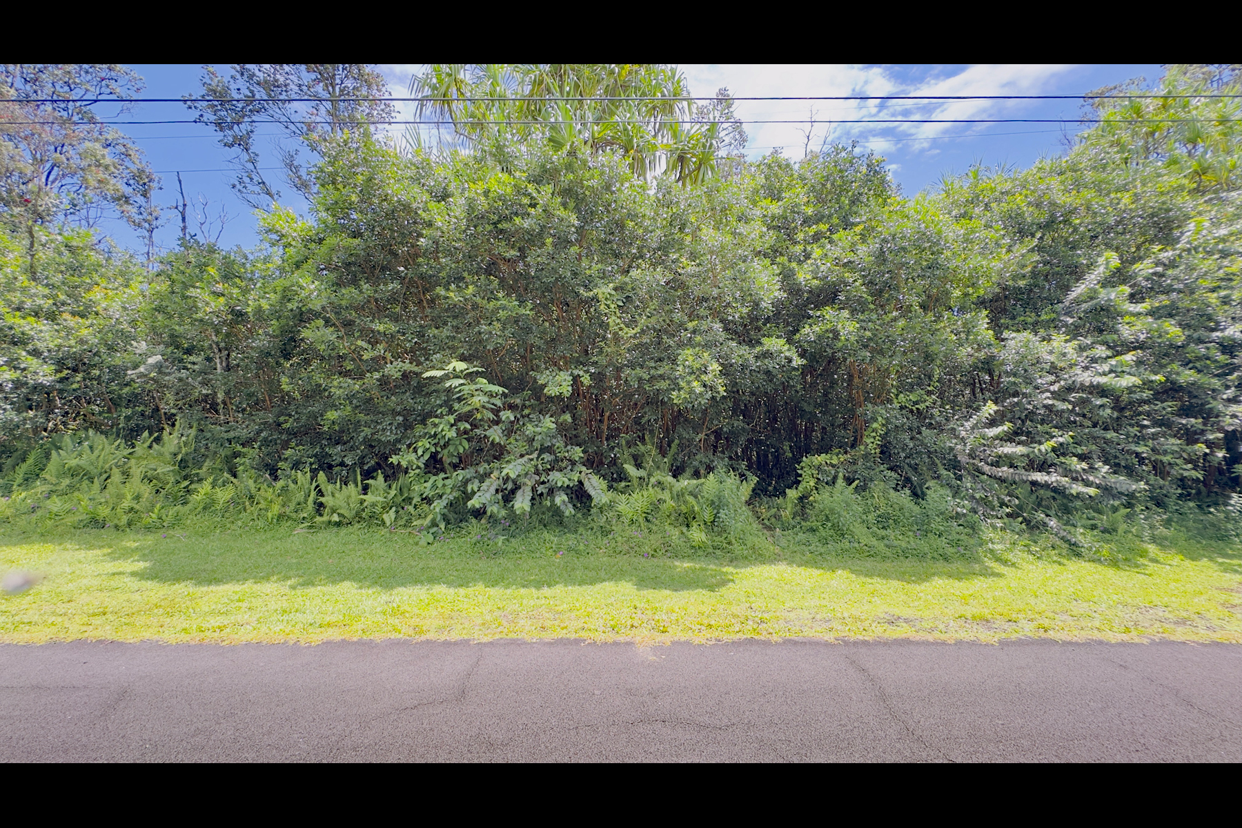 Moi St Property Photo 9