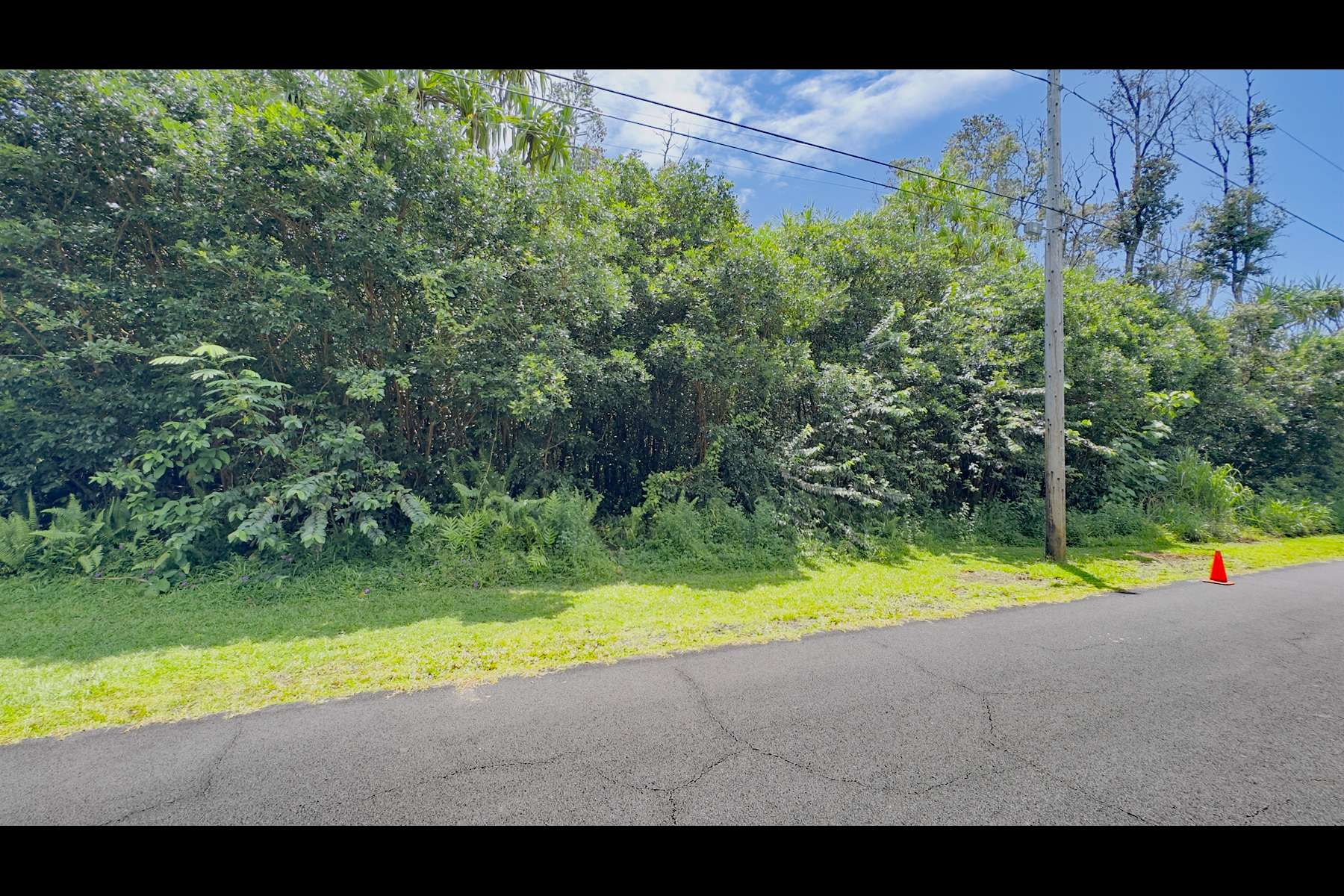 Moi St Property Photo 10
