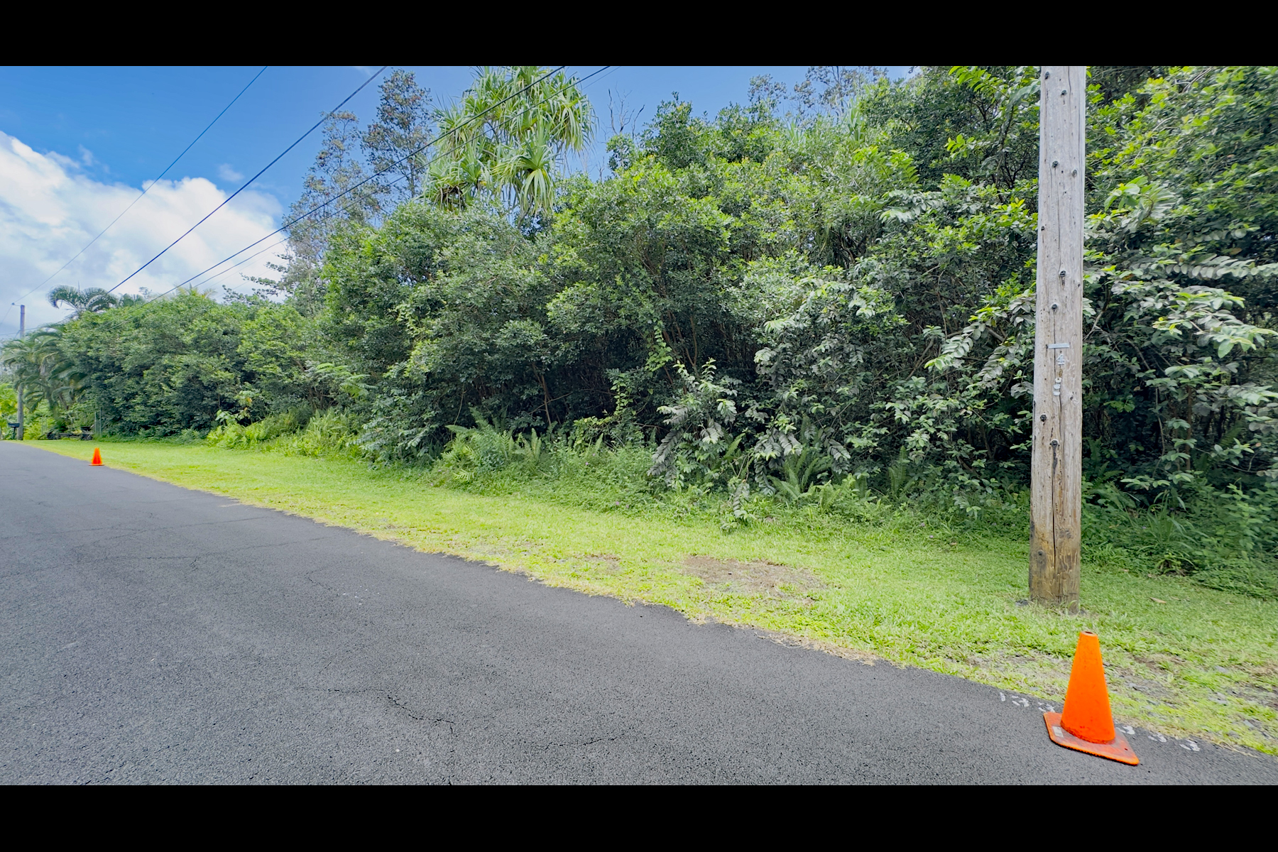 Moi St Property Photo 12