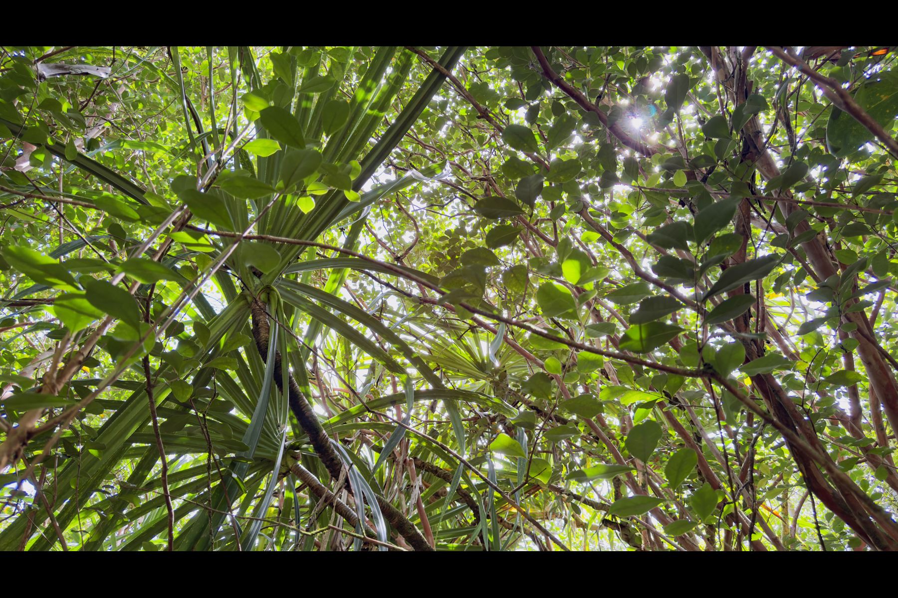 Moi St Property Photo 16