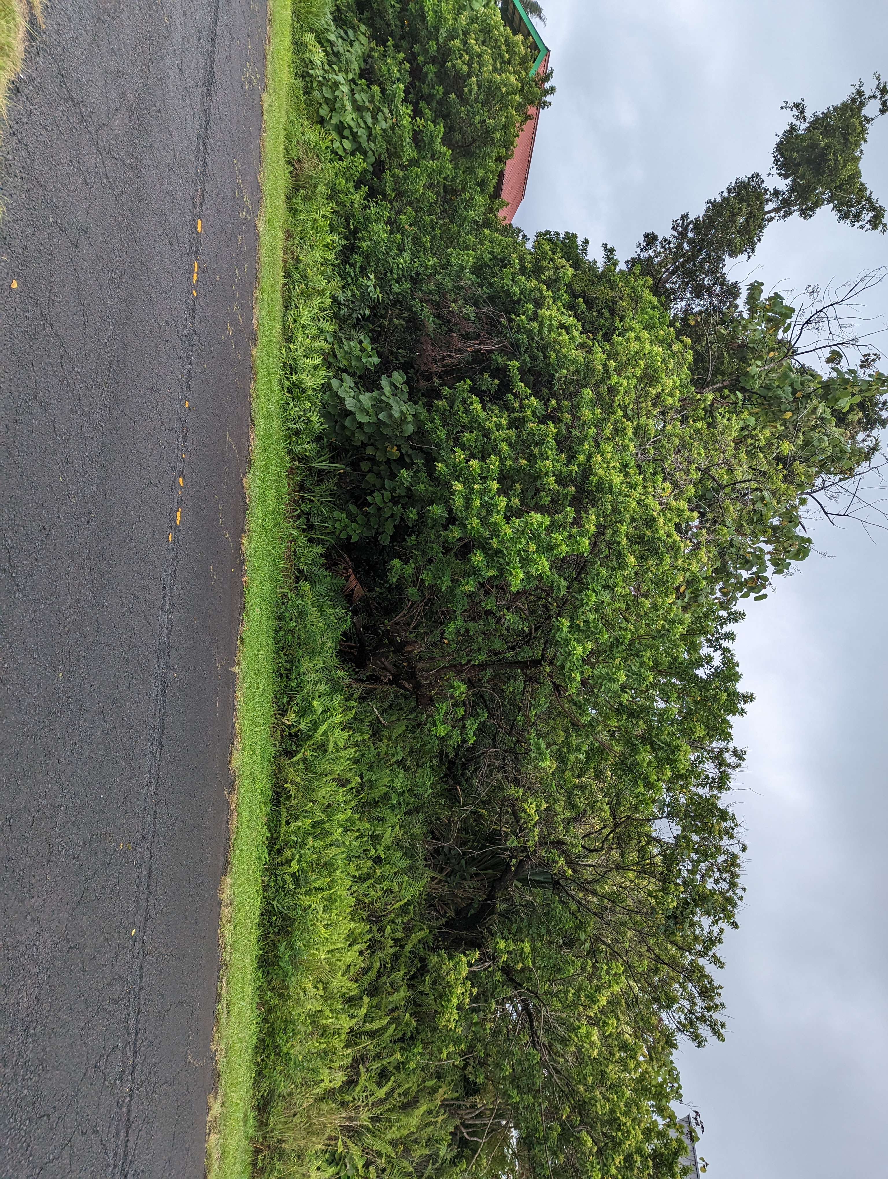 E Moanauli Lp Property Photo 3