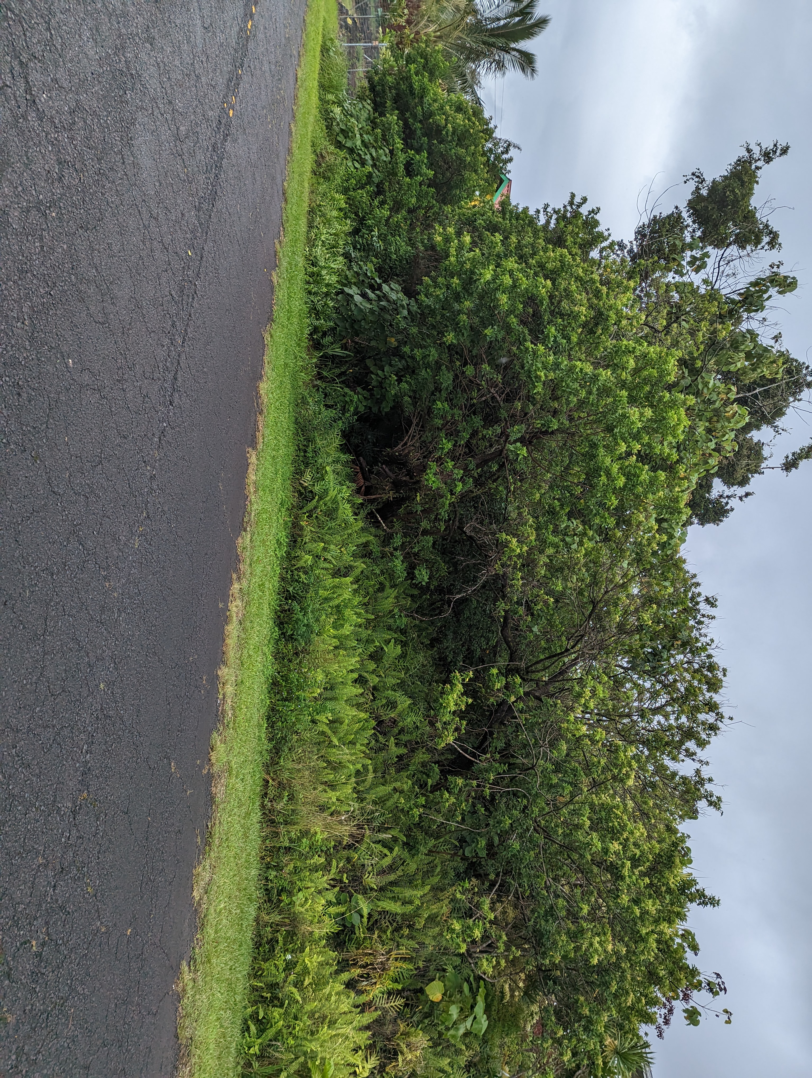 E Moanauli Lp Property Photo 4