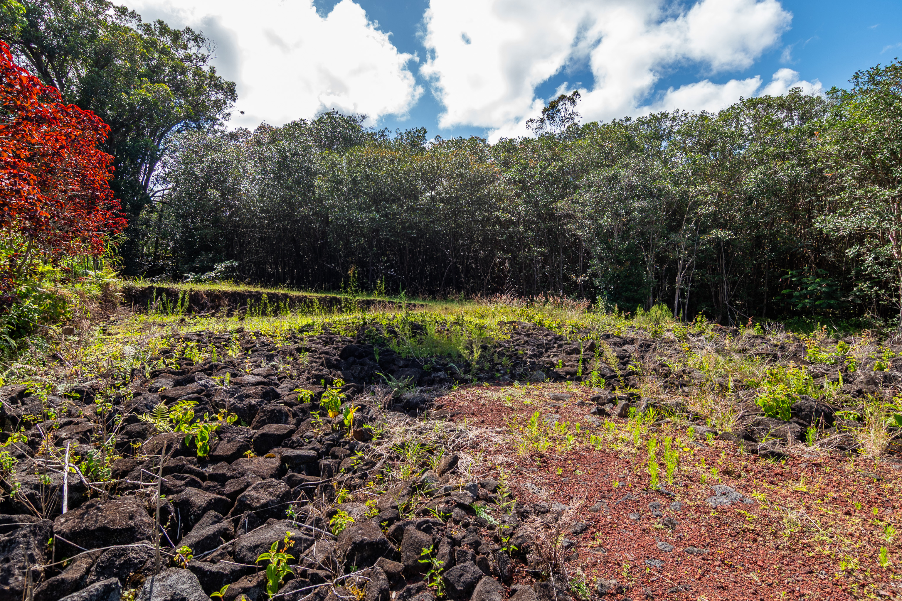 Akolea Road Property Photo 6