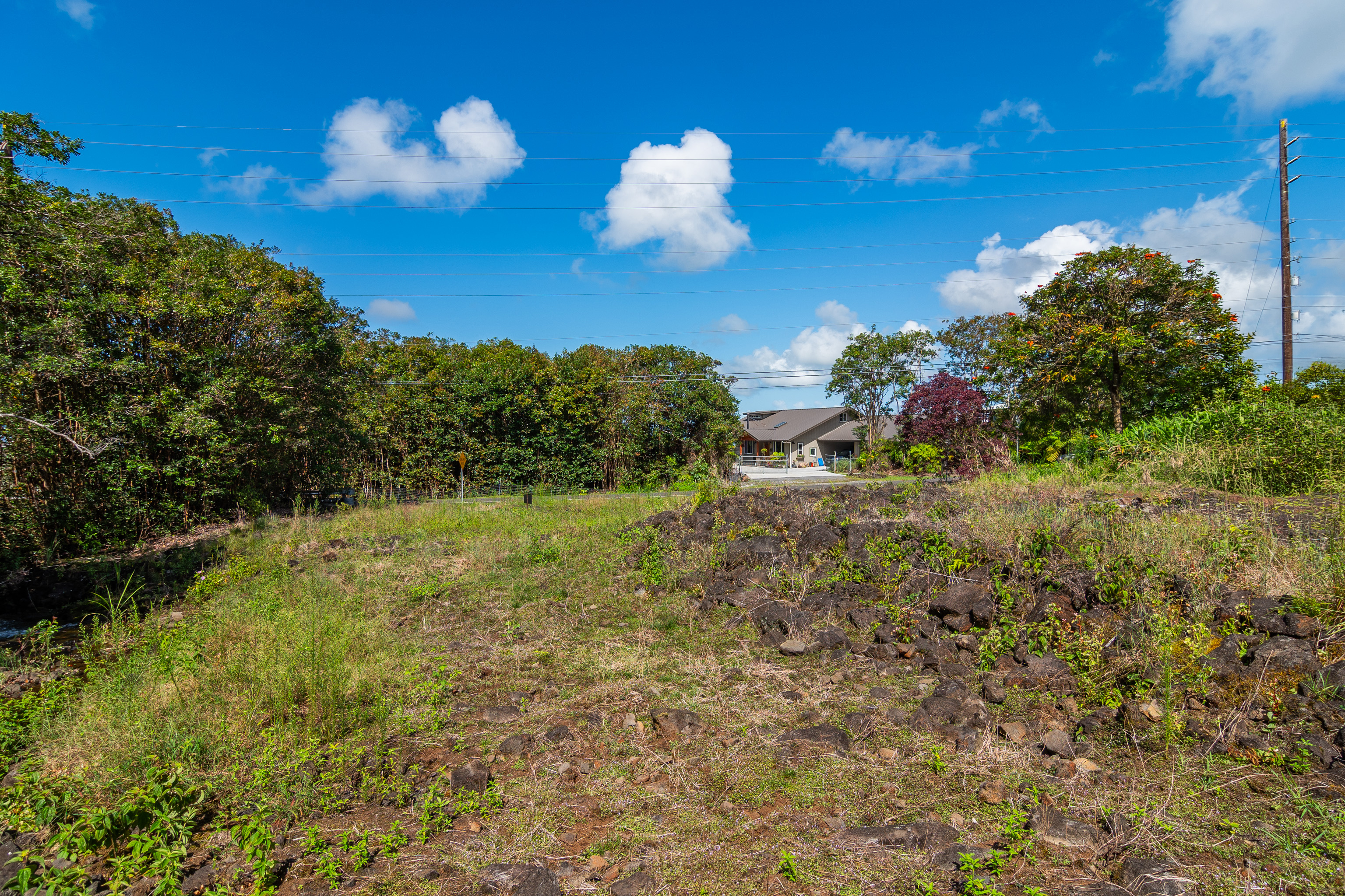 Akolea Road Property Photo 8