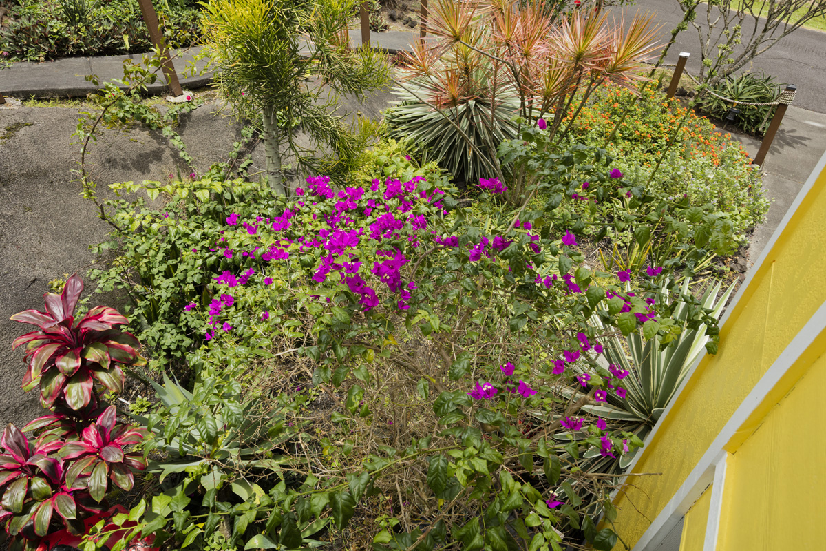 12-409 Puhala St Property Photo 17
